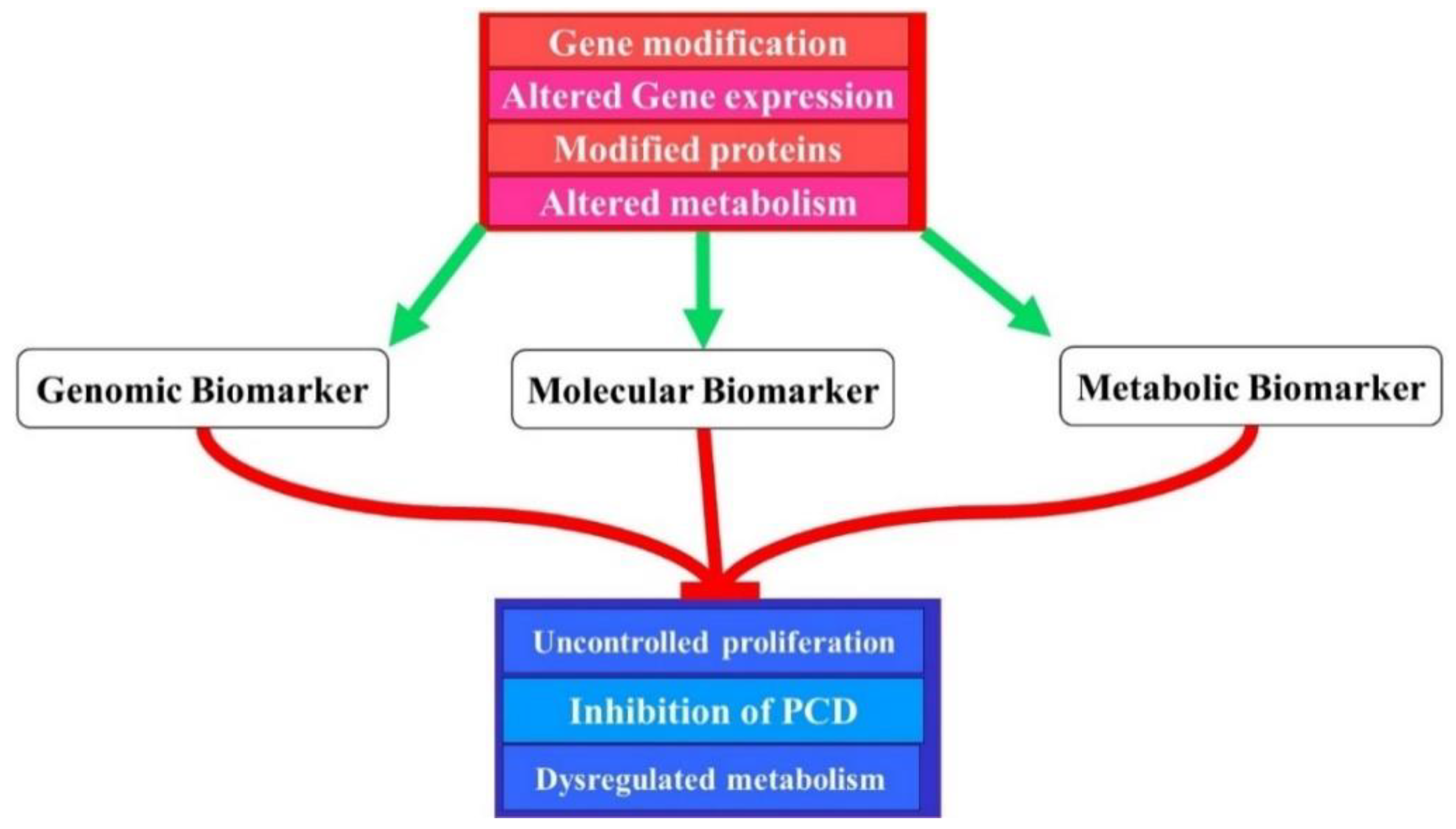 Ijms 22 08127 g002 Ijms 22 08127 g002