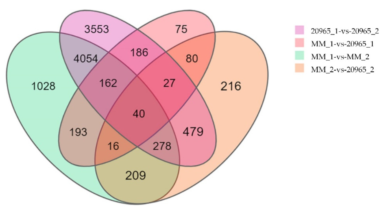 Ijms 22 08128 g003 550