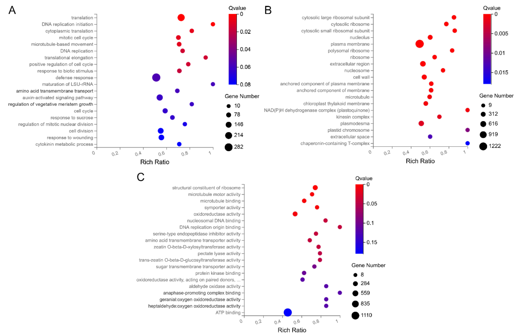 Ijms 22 08128 g004 550