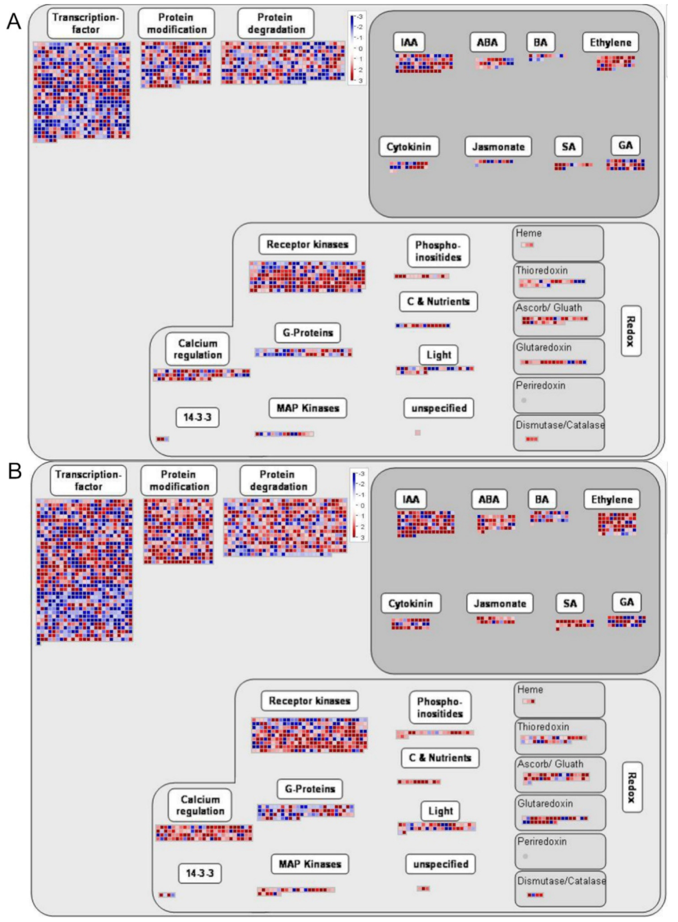 Ijms 22 08128 g007a 550