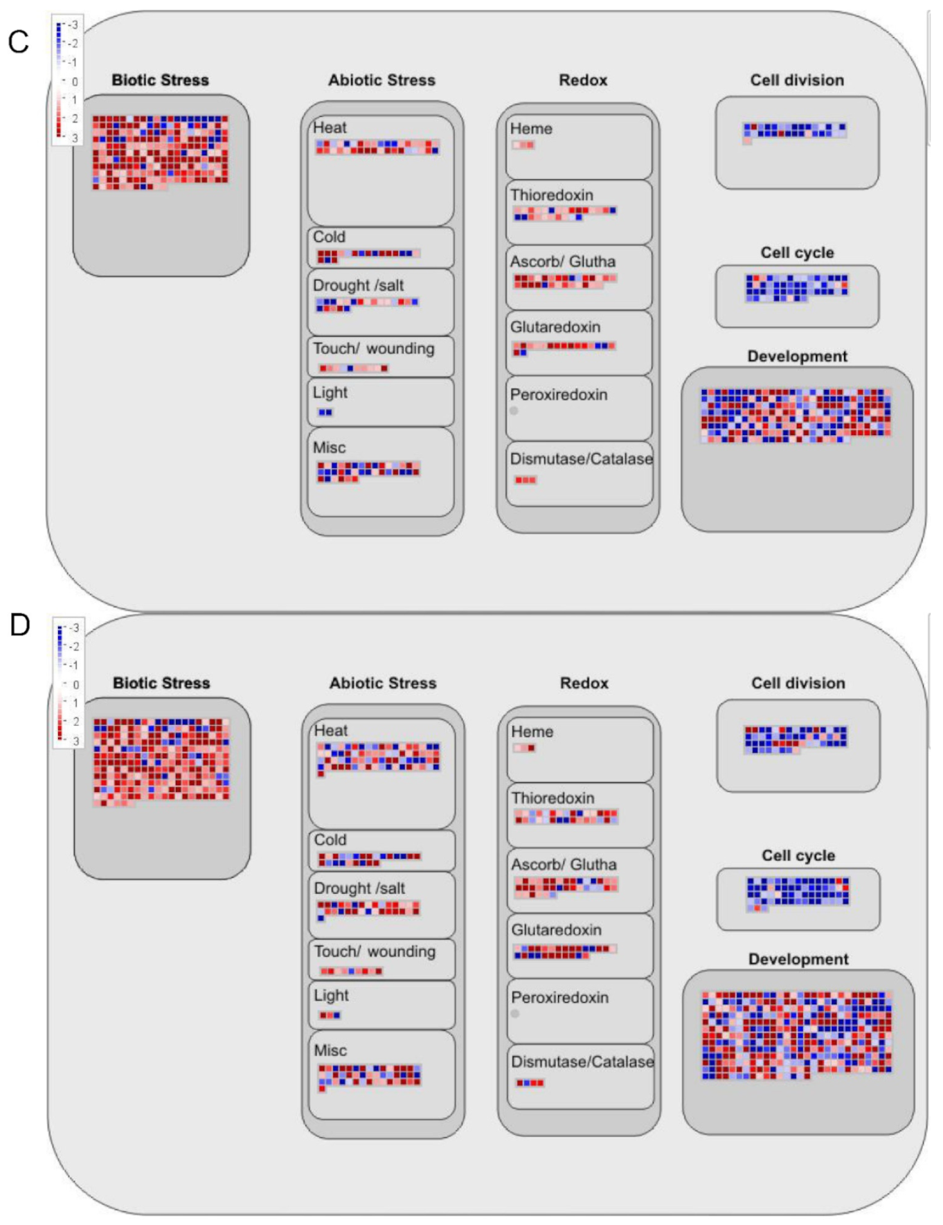 Ijms 22 08128 g007b 550
