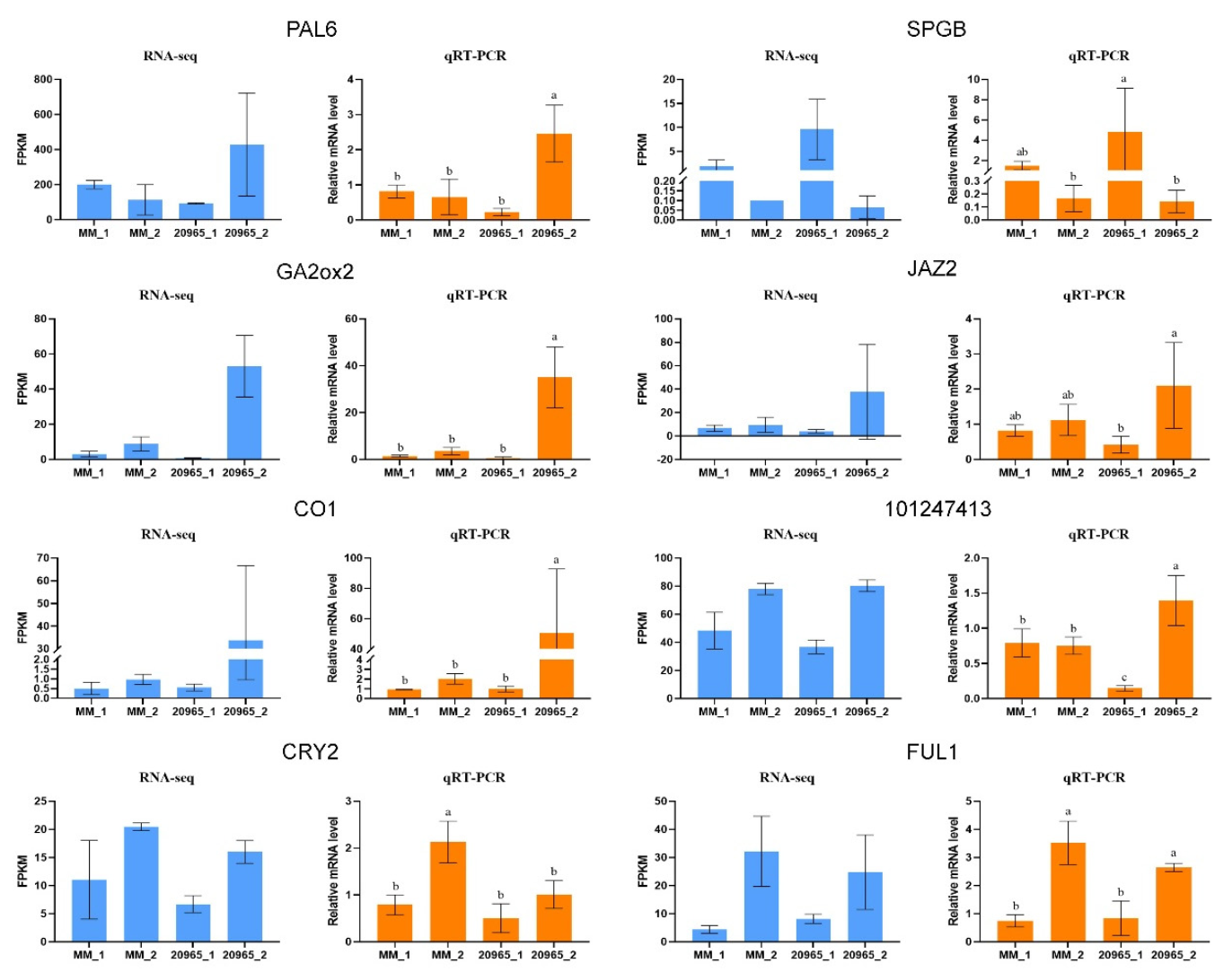 Ijms 22 08128 g008 550