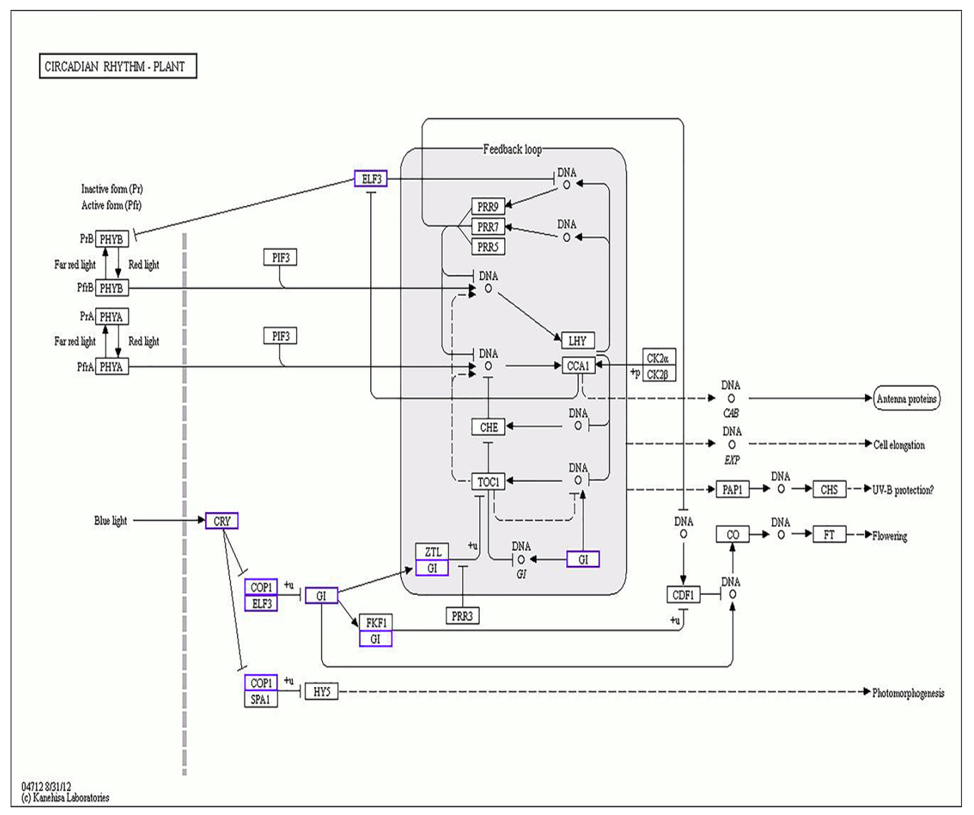 Ijms 22 08128 g009 550
