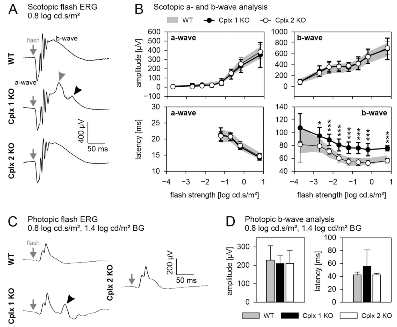 Ijms 22 08131 g005 550
