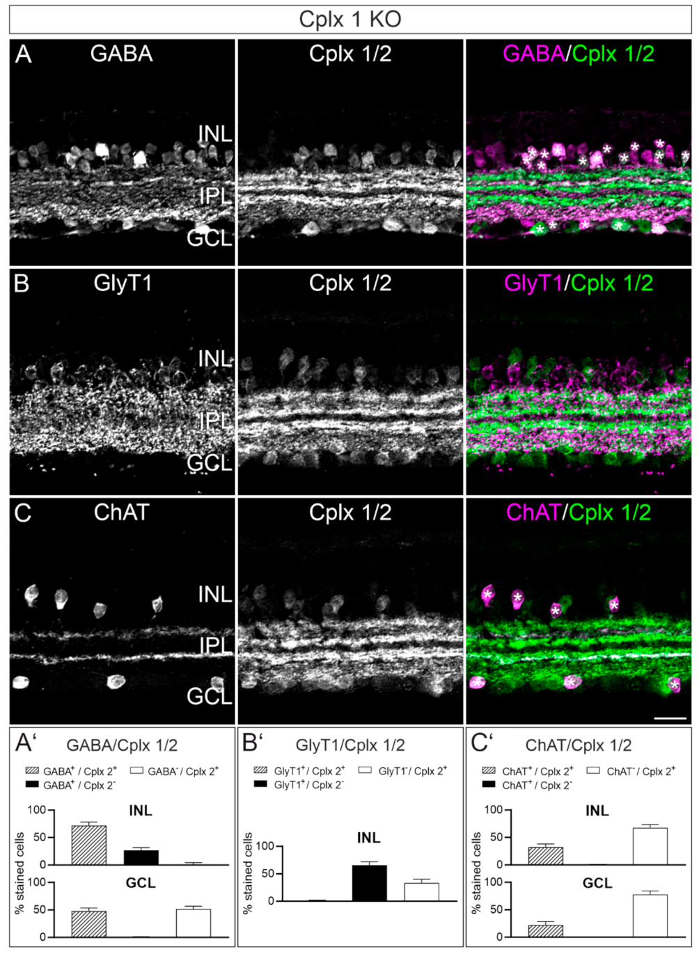 Ijms 22 08131 g006 550