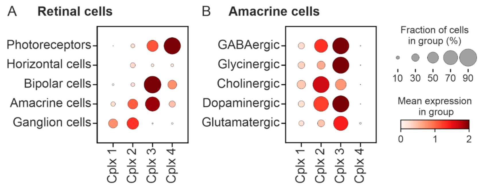 Ijms 22 08131 g010 550