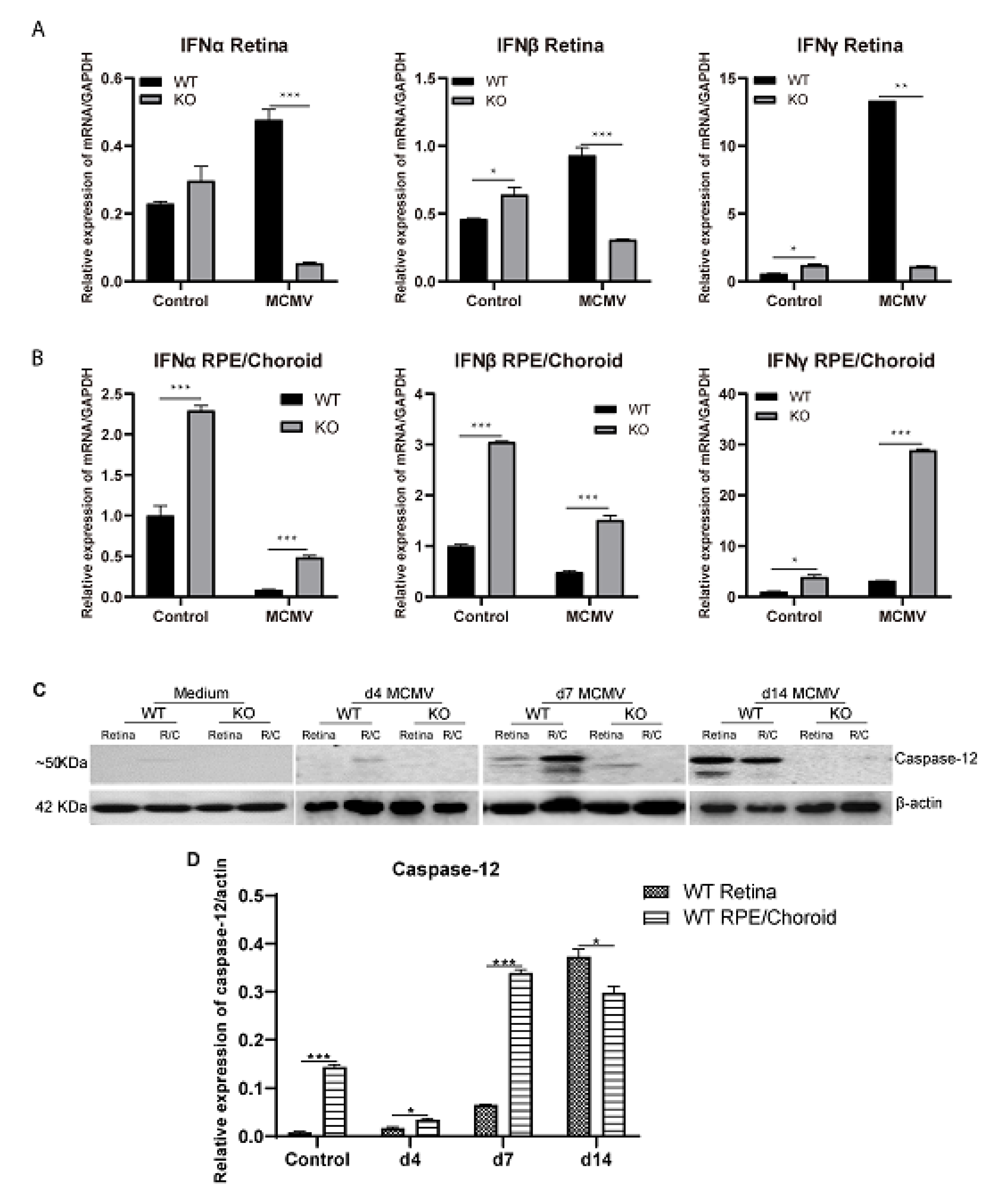 Ijms 22 08135 g003 Ijms 22 08135 g003