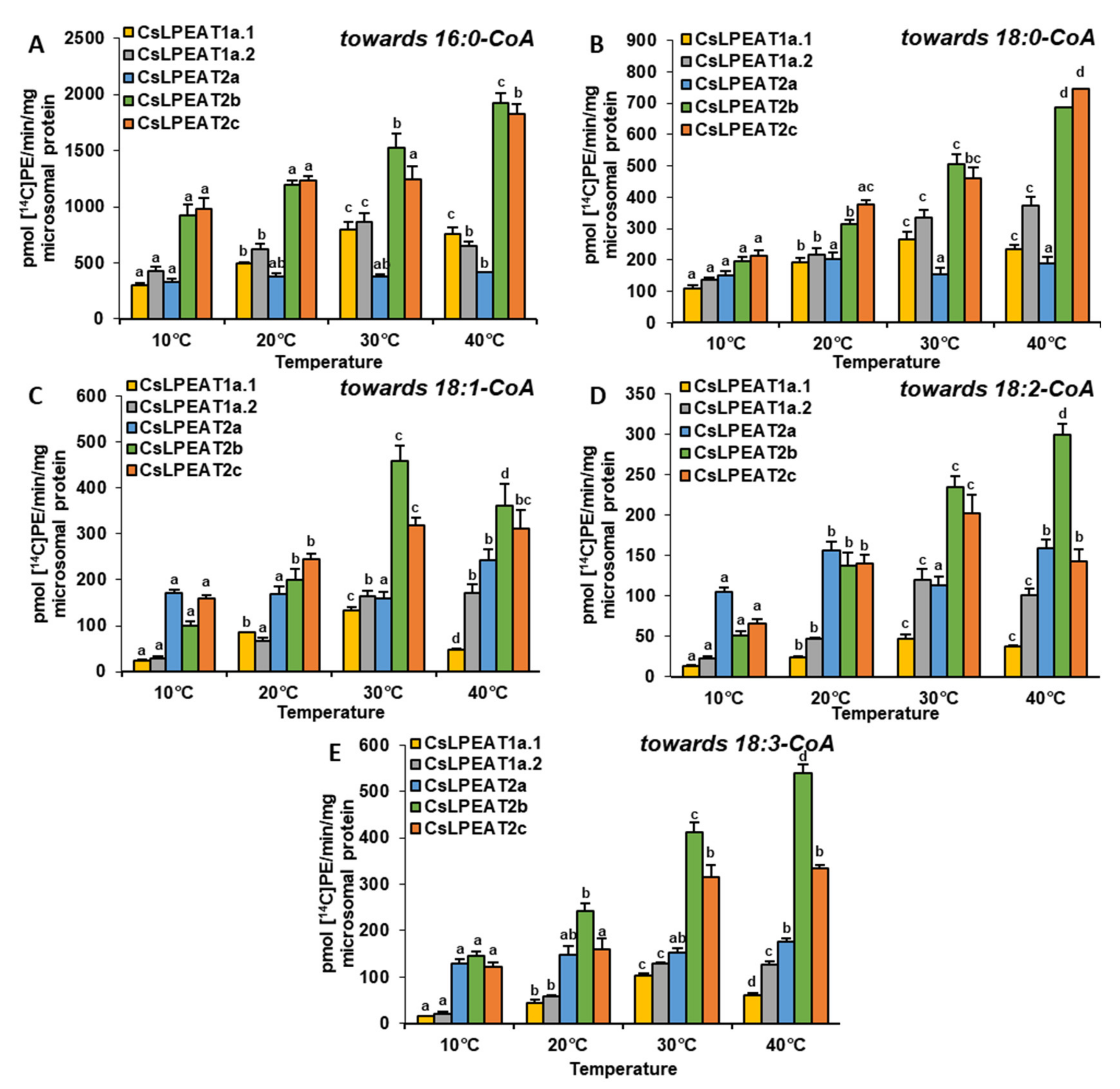 Ijms 22 08137 g006 550