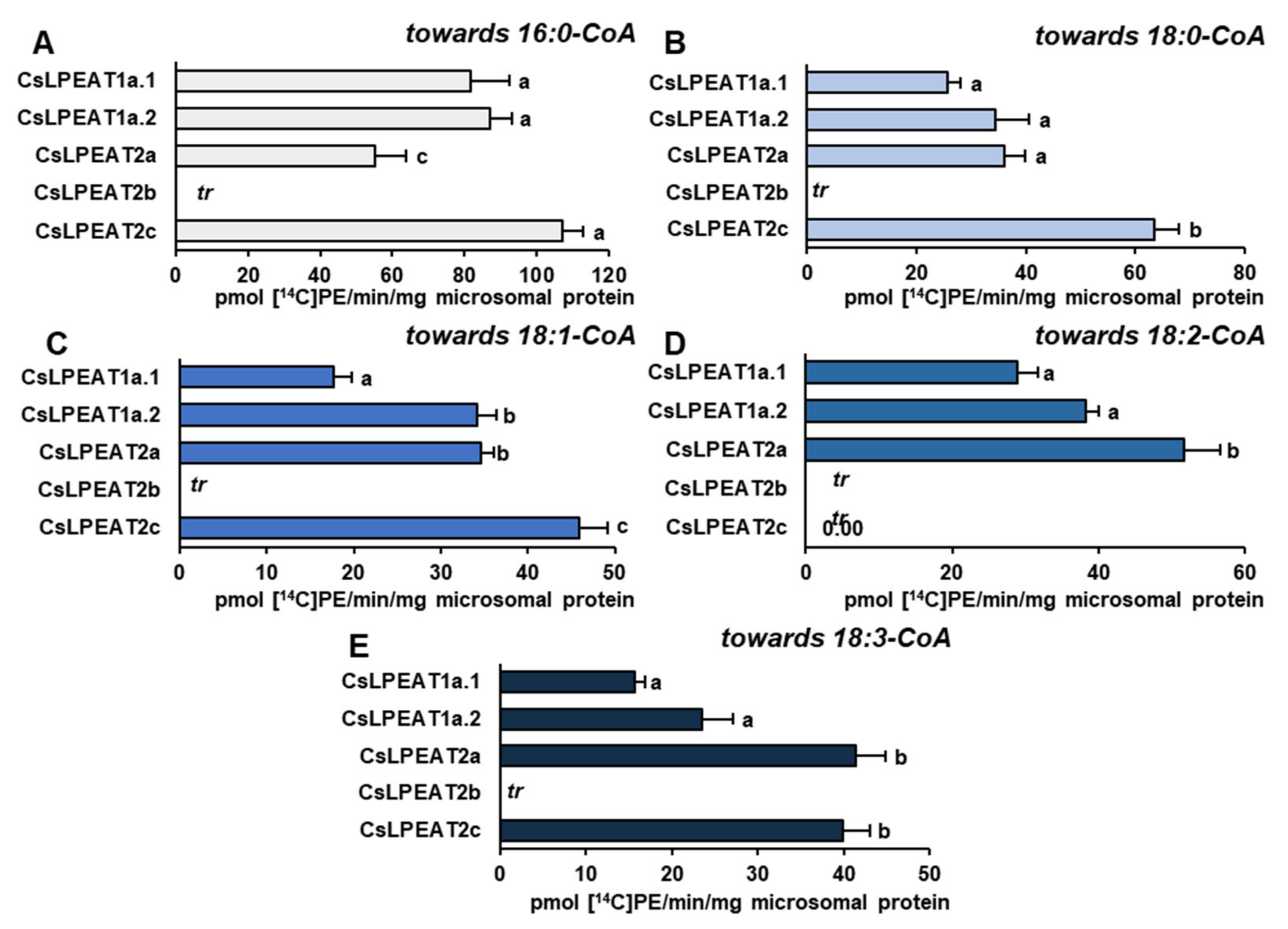 Ijms 22 08137 g009 550