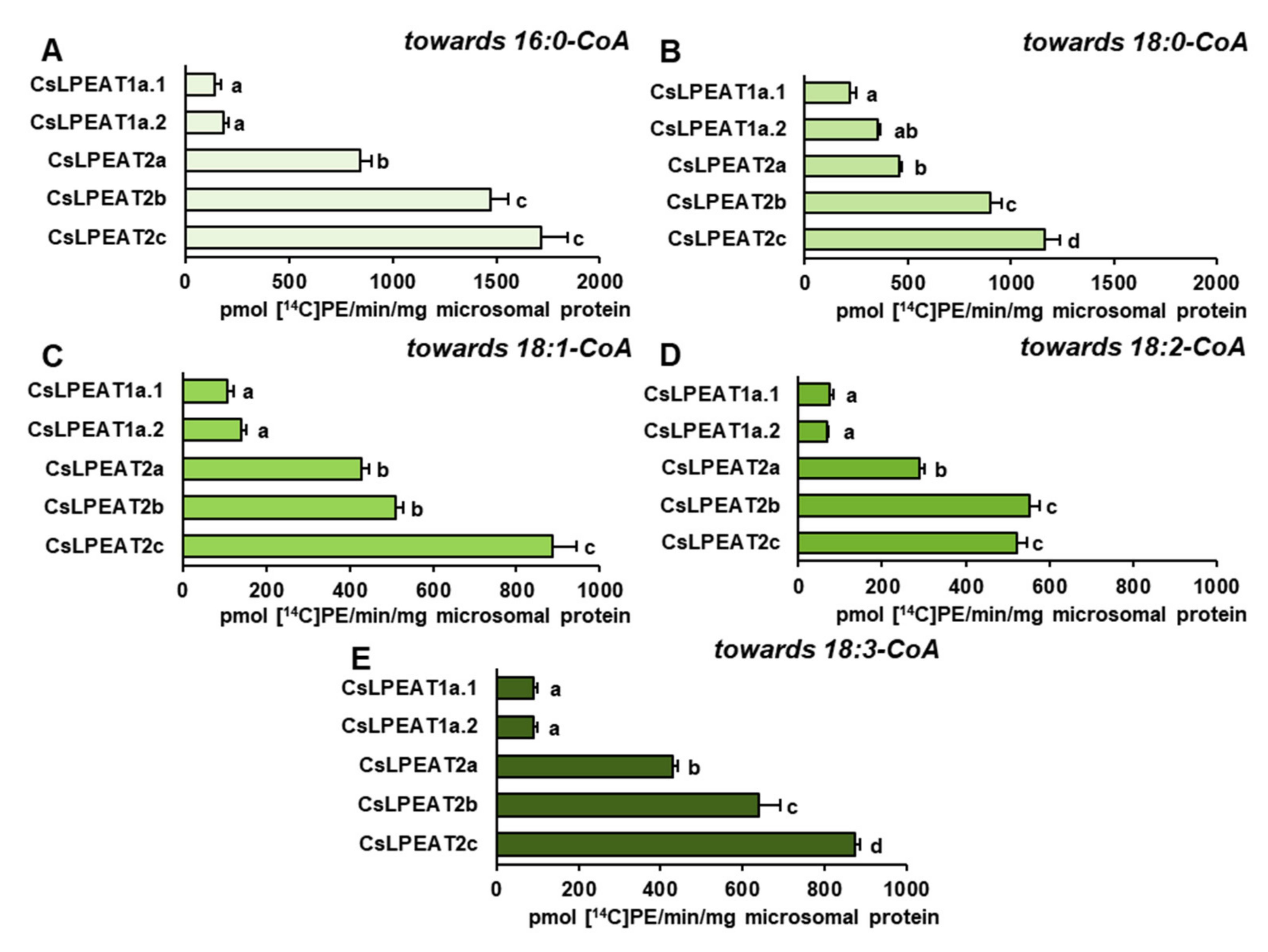 Ijms 22 08137 g010 550