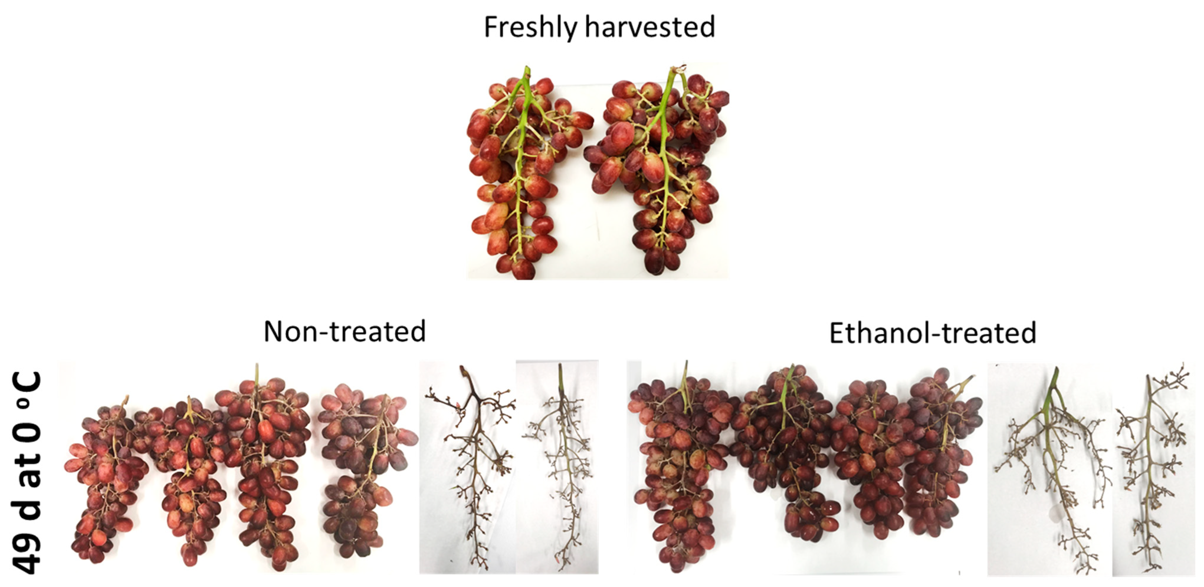 Ijms 22 08138 g001 550