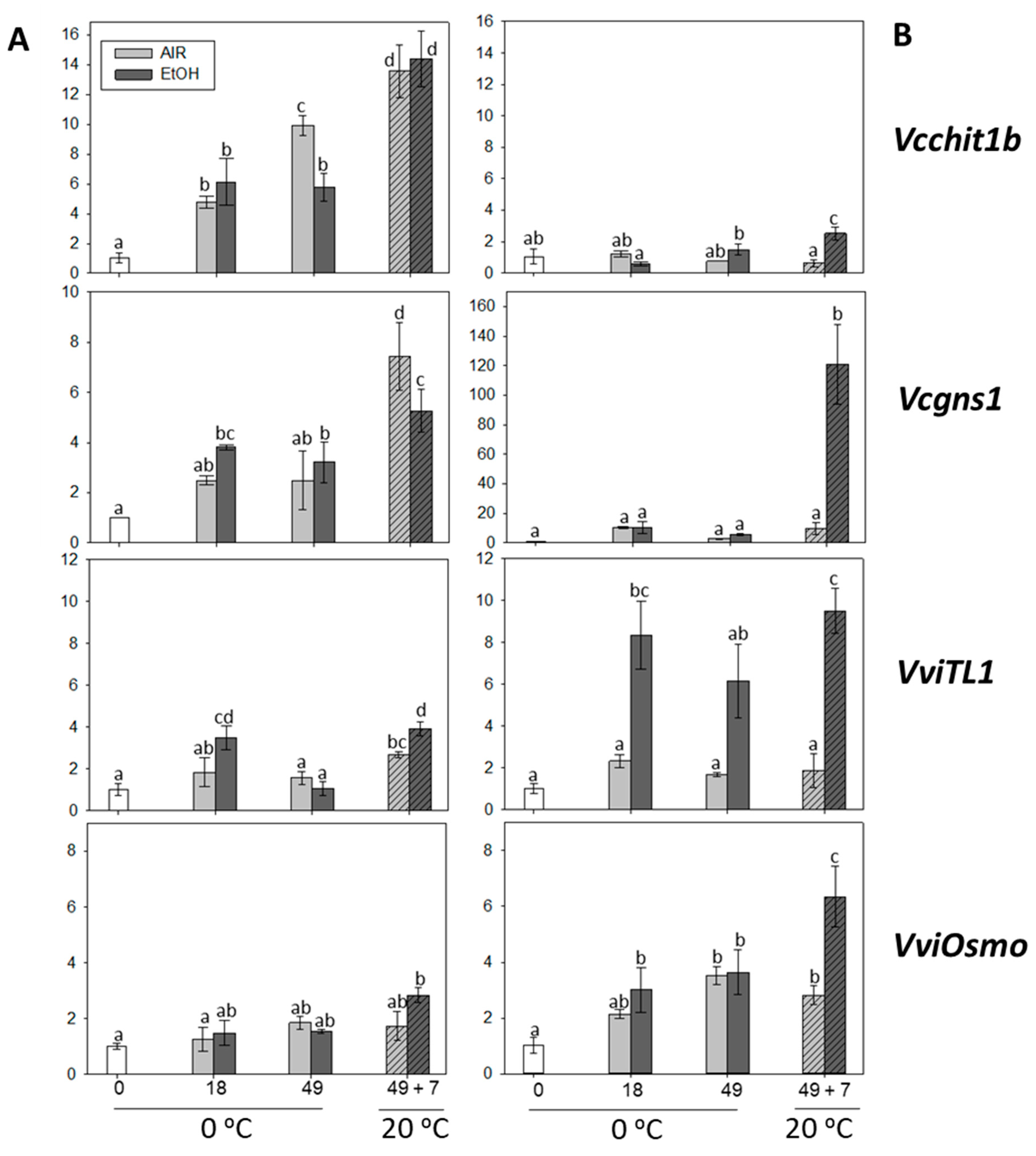 Ijms 22 08138 g005 550