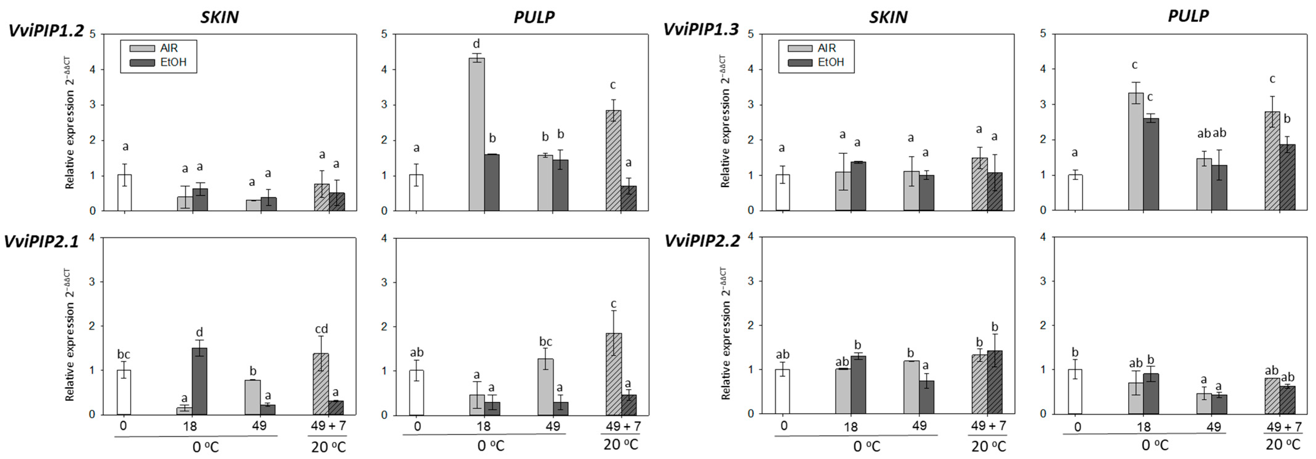 Ijms 22 08138 g006 550