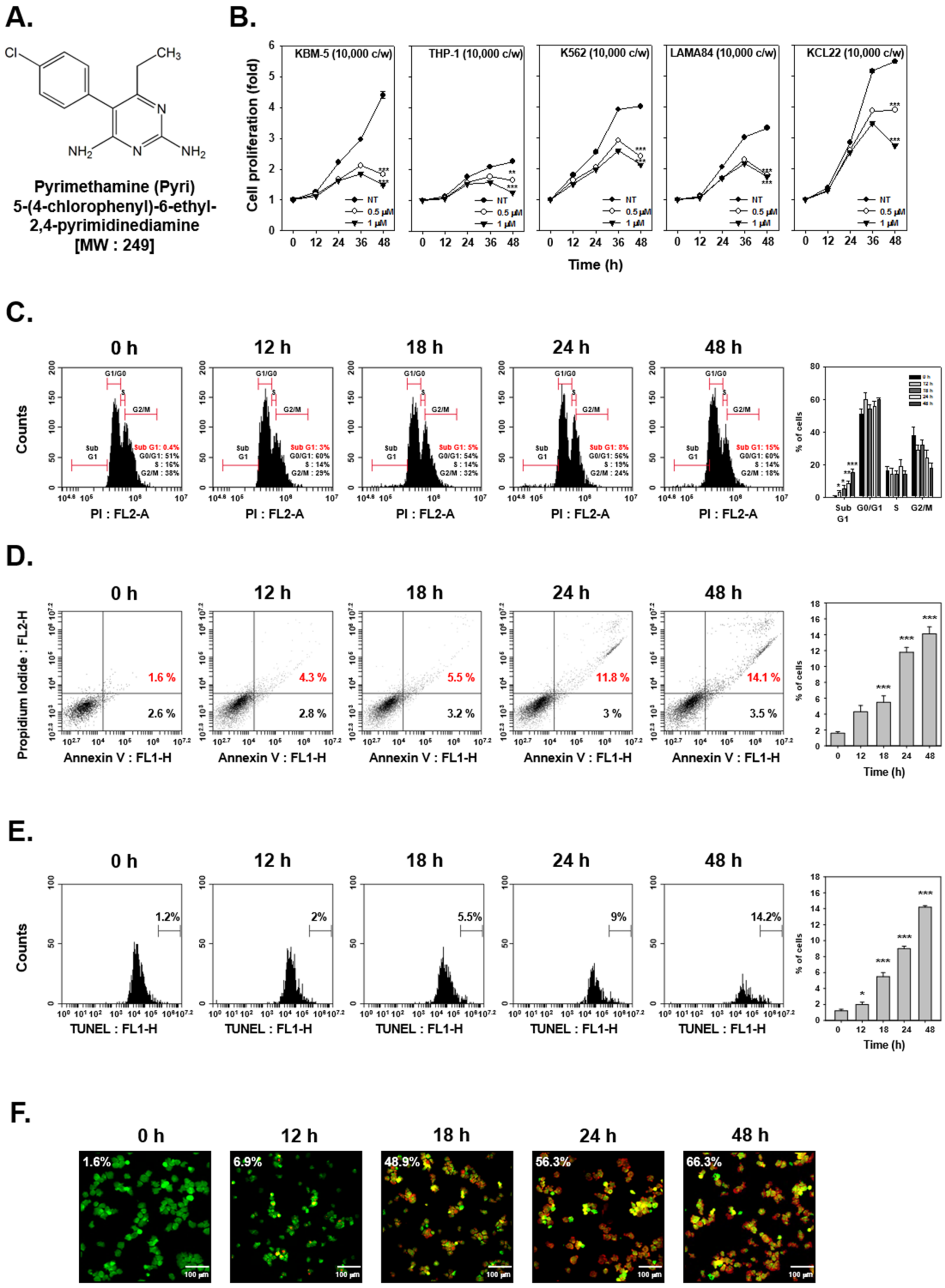 Ijms 22 08147 g001 Ijms 22 08147 g001