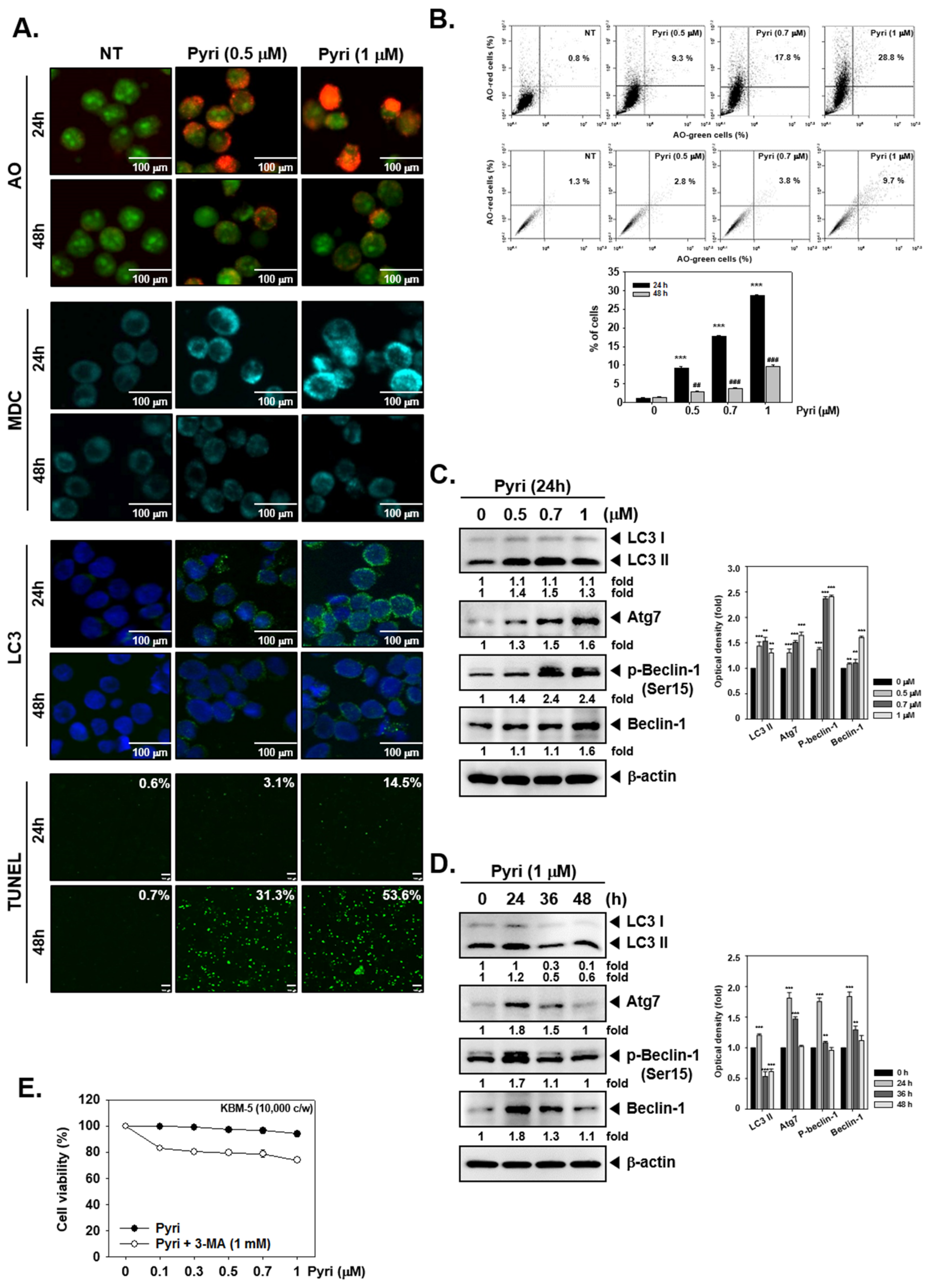 Ijms 22 08147 g003 Ijms 22 08147 g003
