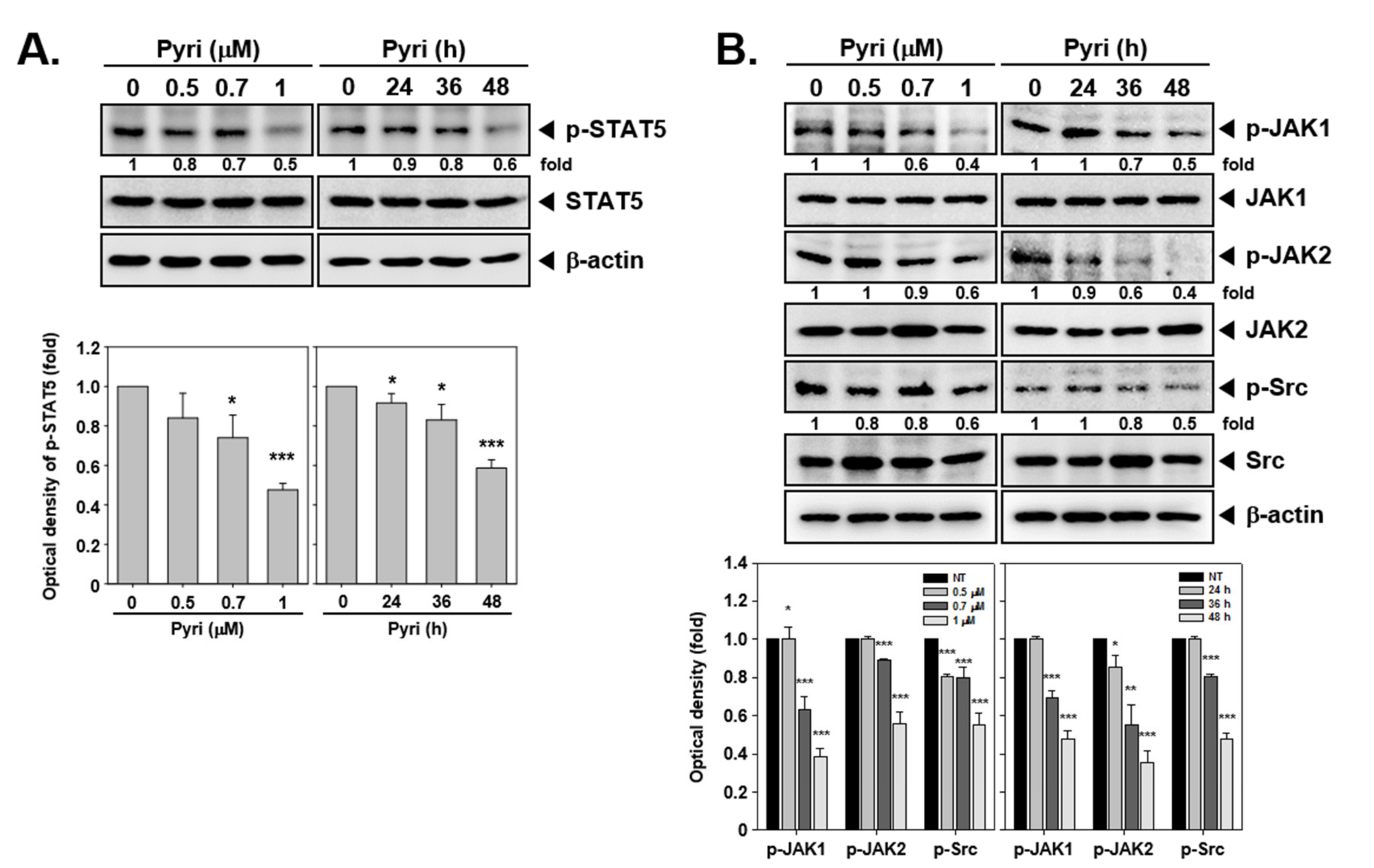 Ijms 22 08147 g005a Ijms 22 08147 g005a