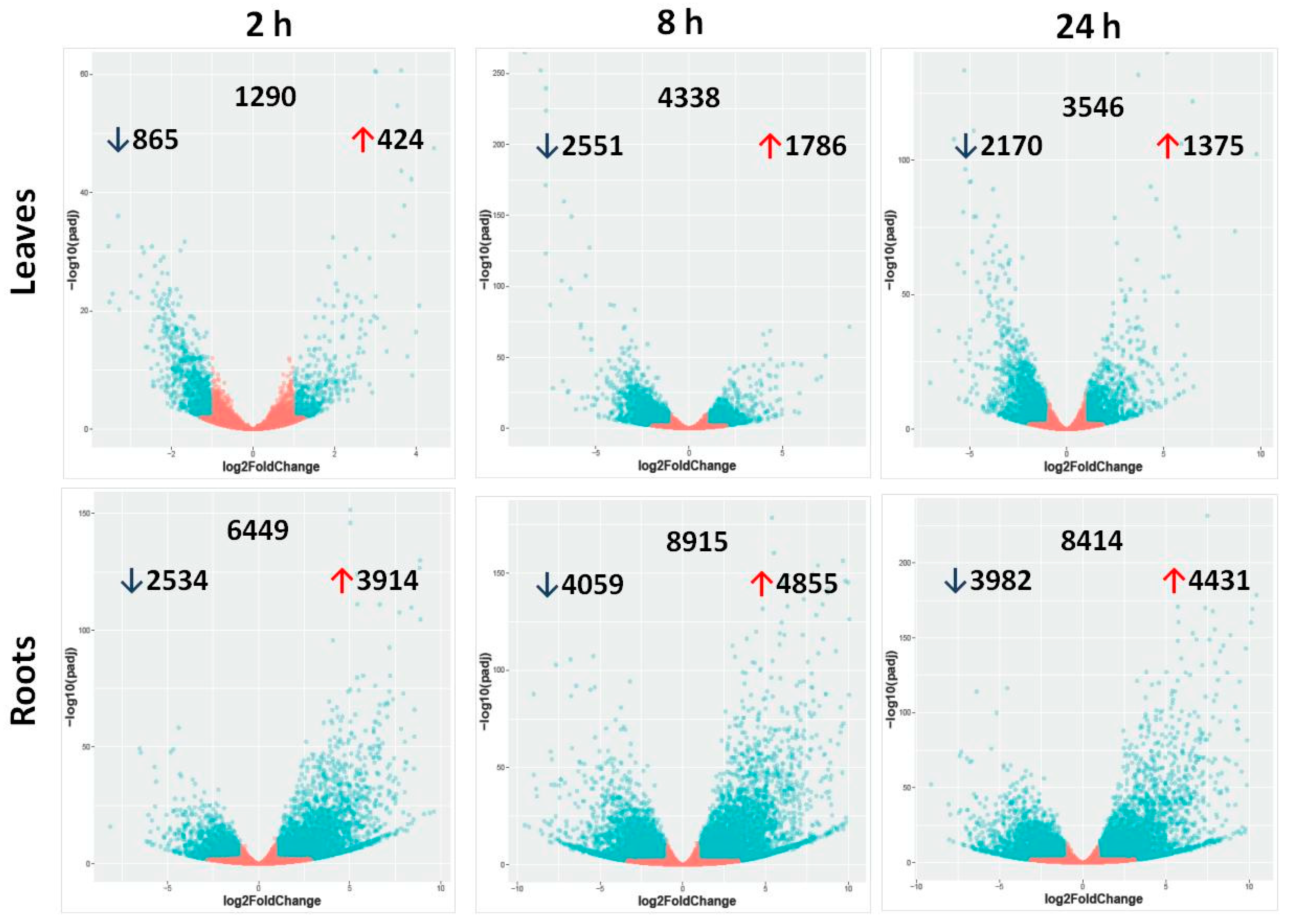 Ijms 22 08155 g002 550