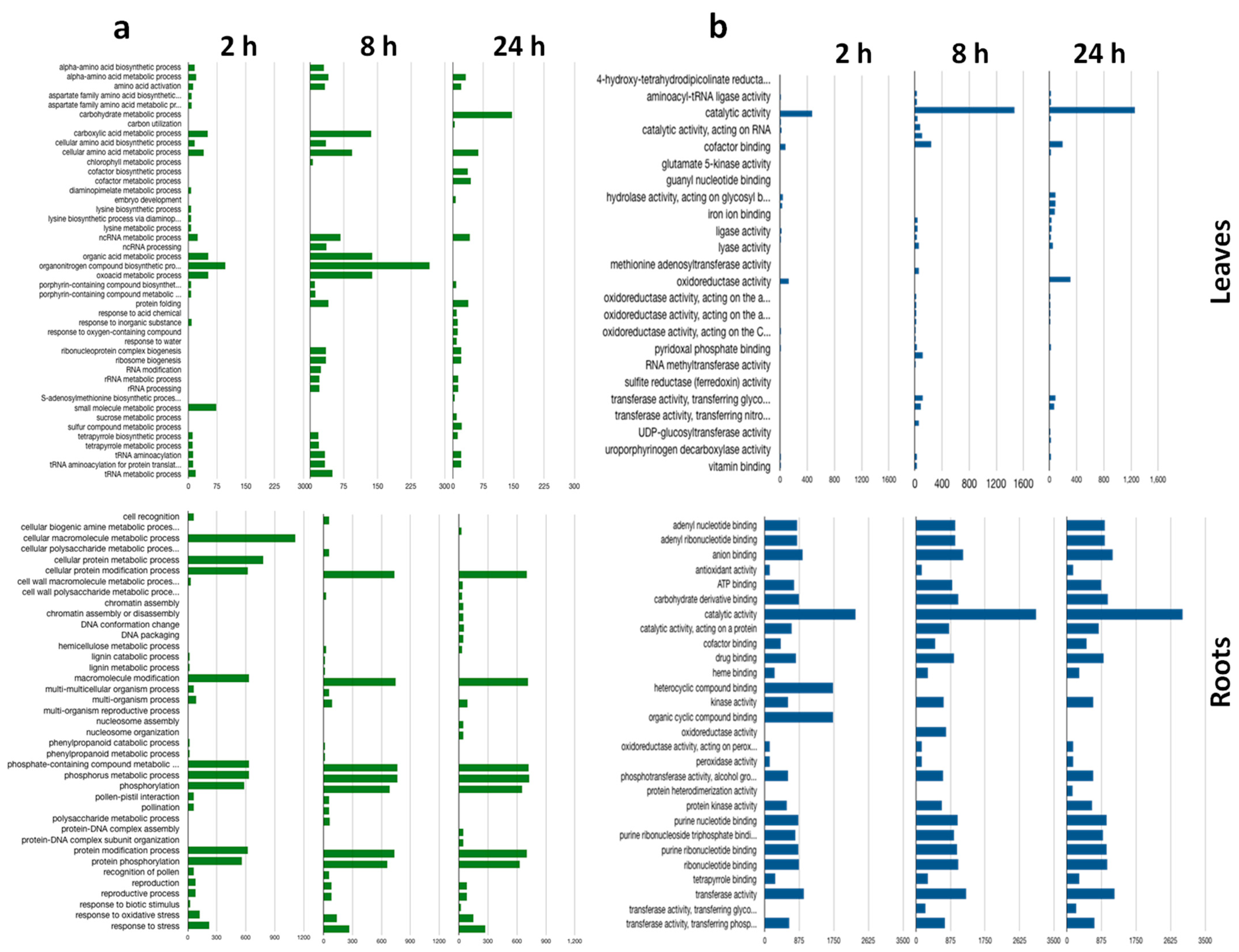 Ijms 22 08155 g004 550