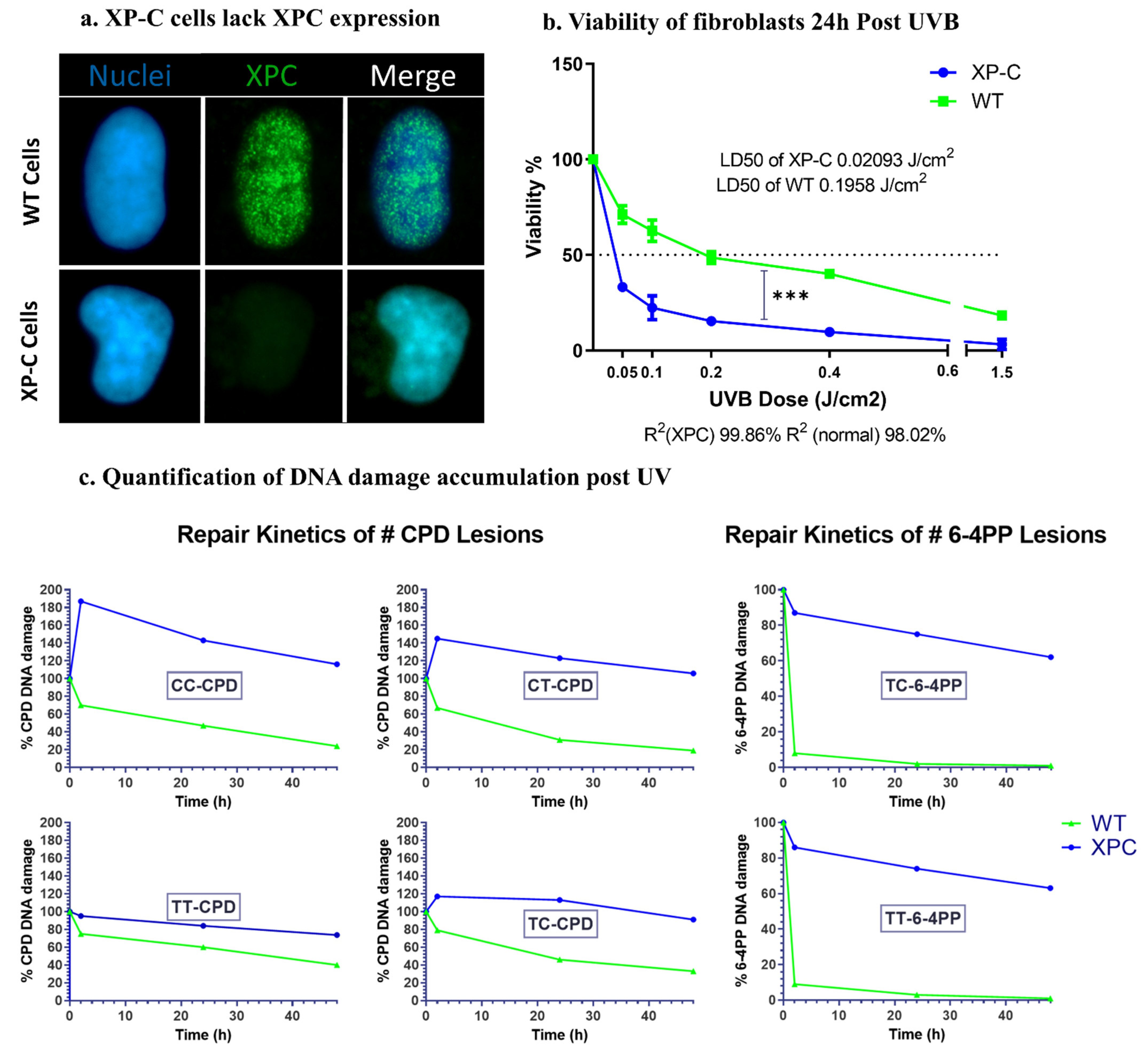 Ijms 22 08156 g001 550