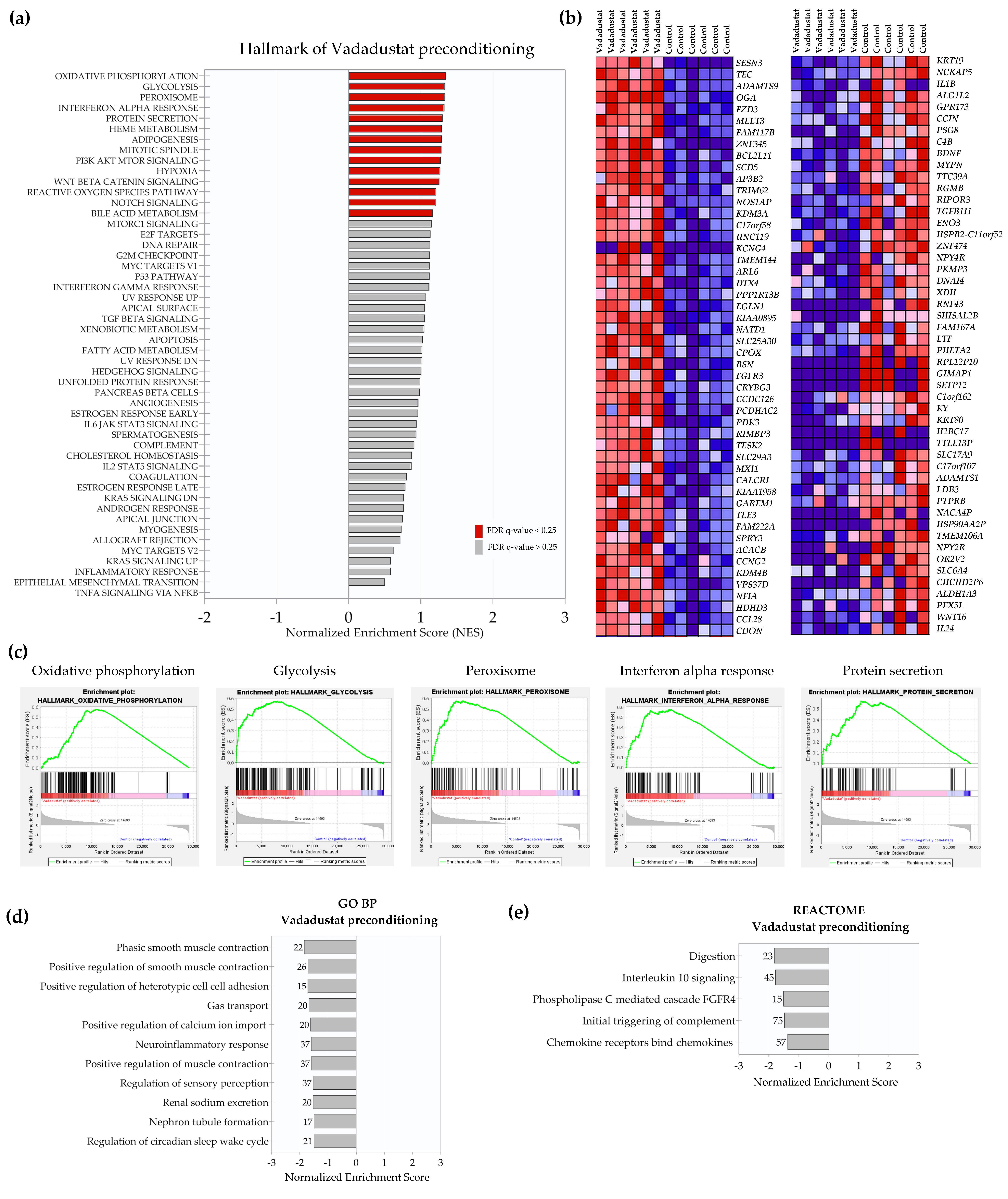 Ijms 22 08160 g002 550