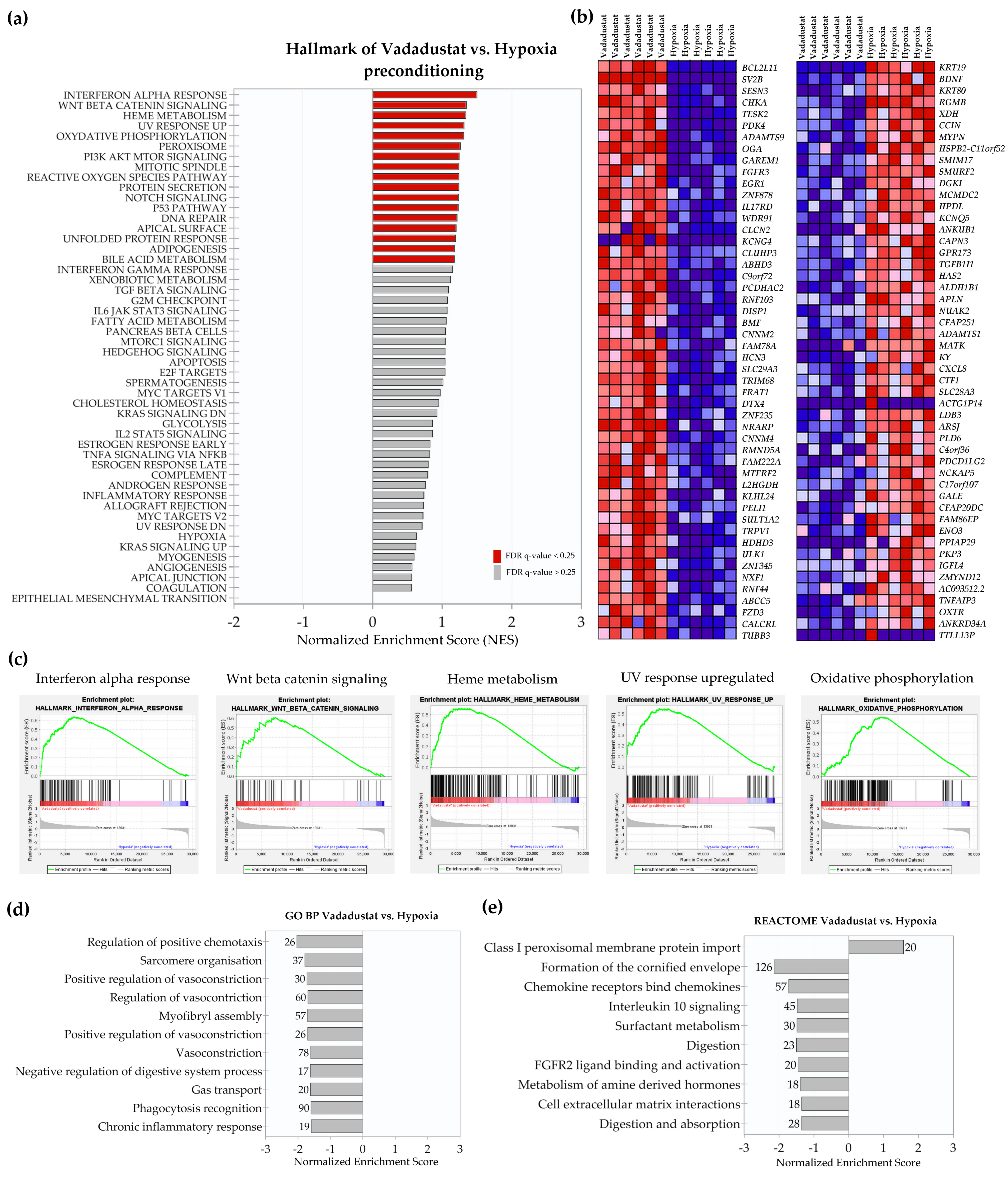 Ijms 22 08160 g003 550