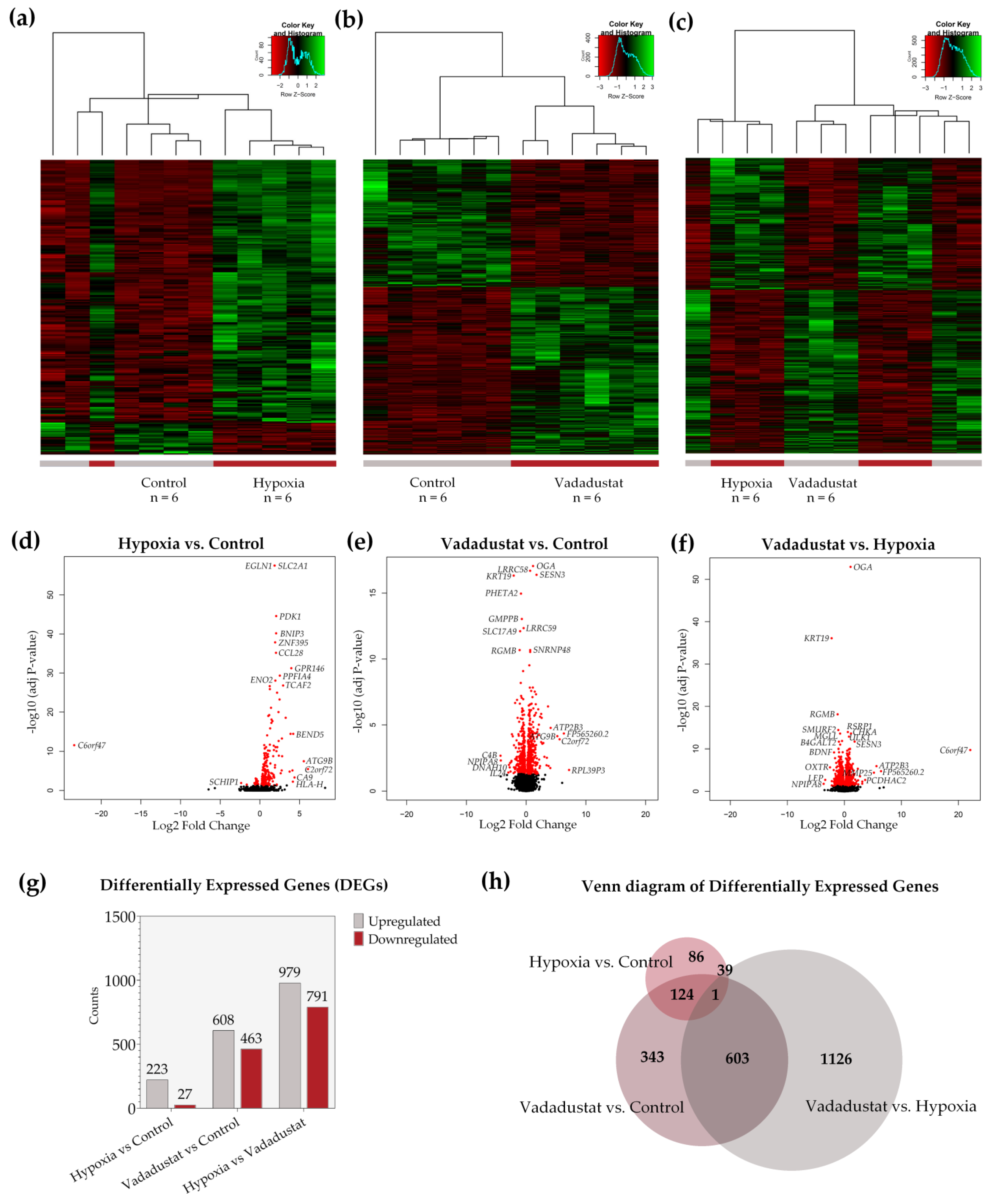 Ijms 22 08160 g004 550