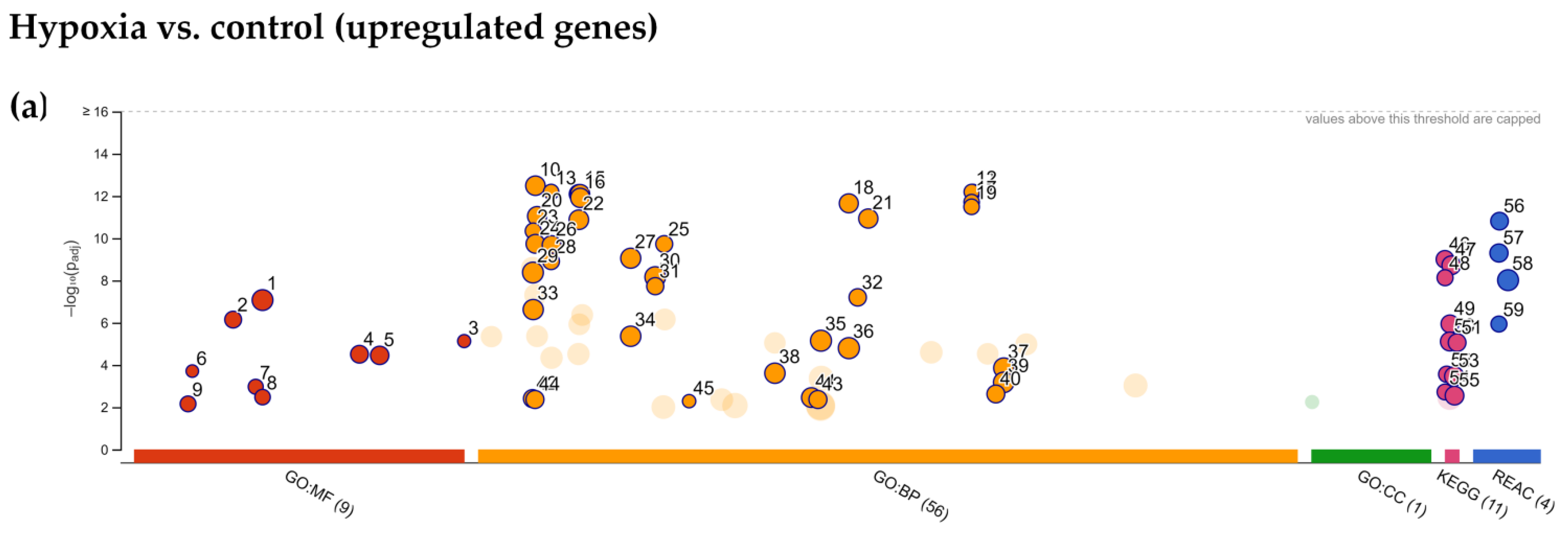 Ijms 22 08160 g005a 550