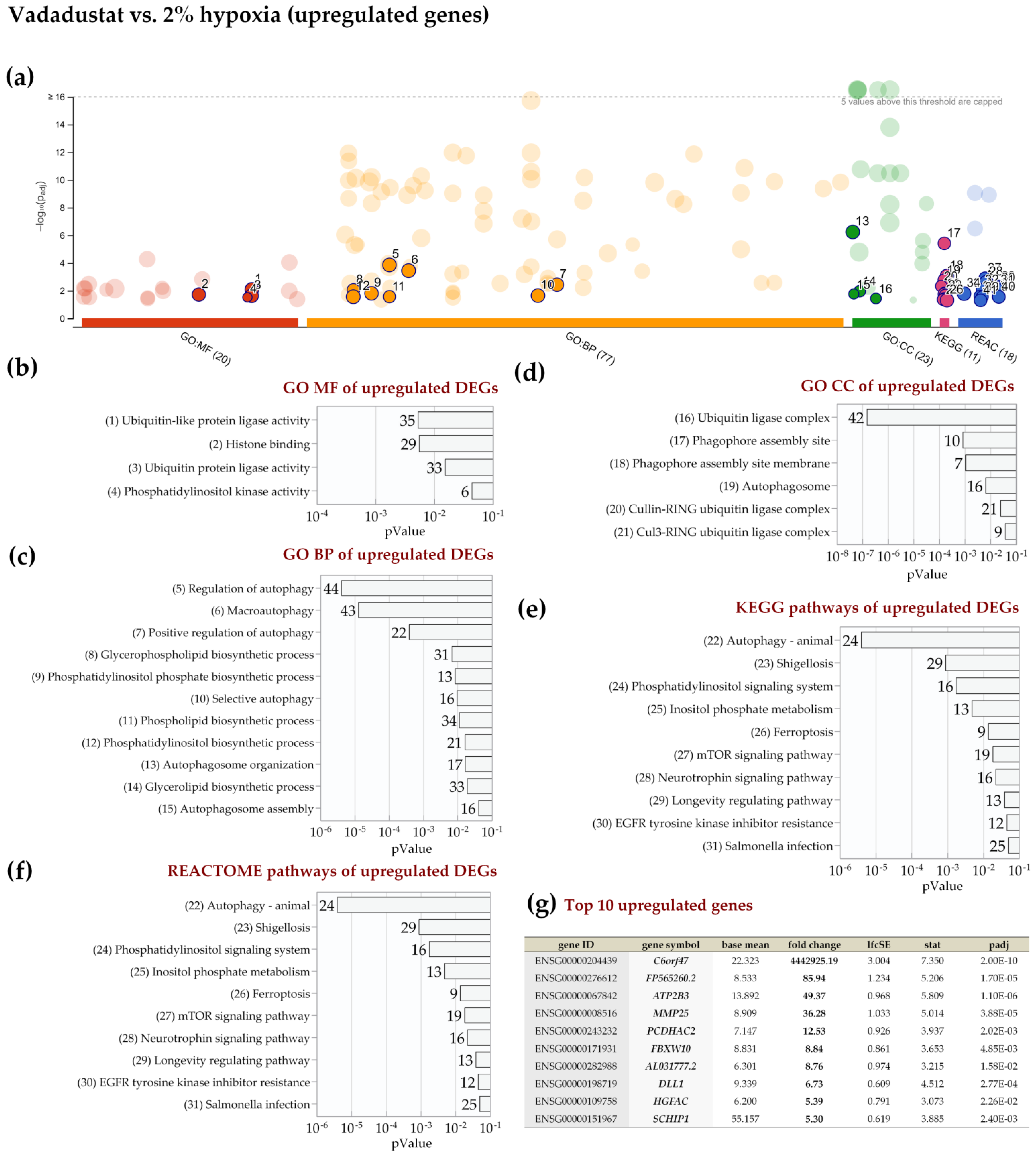 Ijms 22 08160 g008 550
