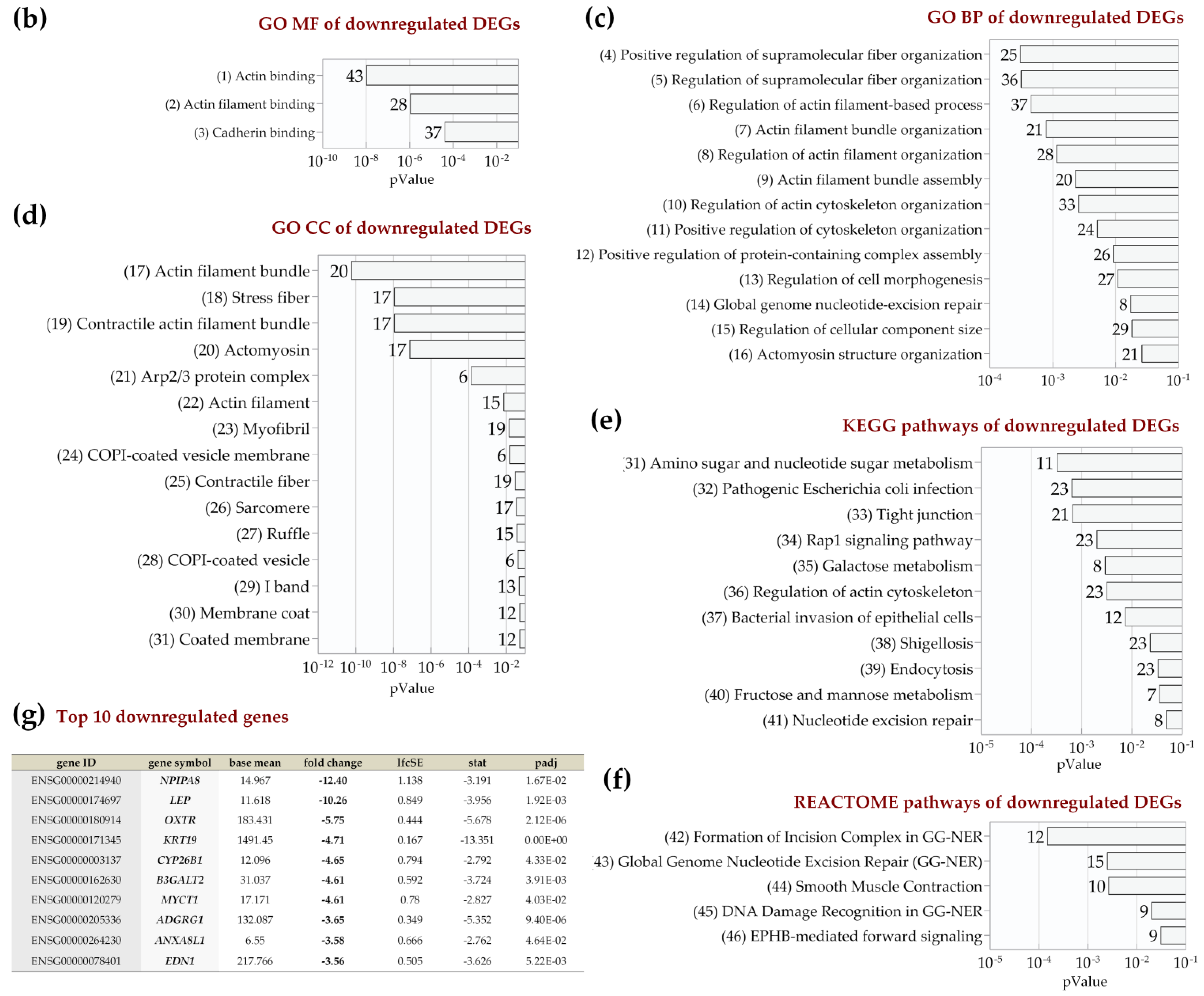 Ijms 22 08160 g009b 550