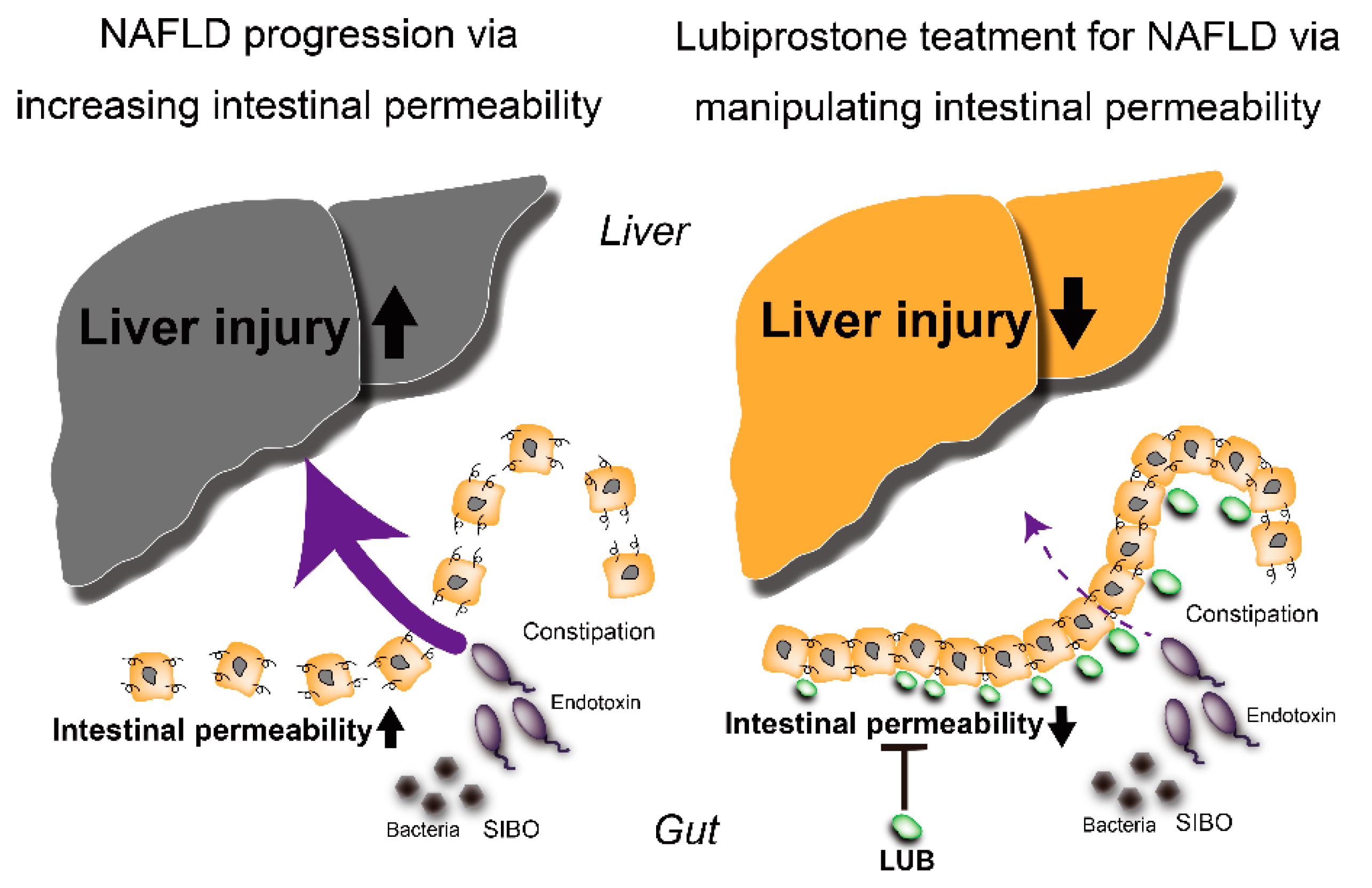 Ijms 22 08161 g002 550