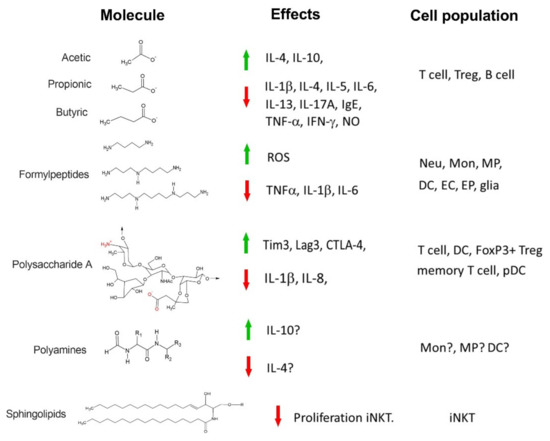 Ijms Free Full Text Microbiota Signals During The Neonatal Period Fe Life Long Immune Responses Html