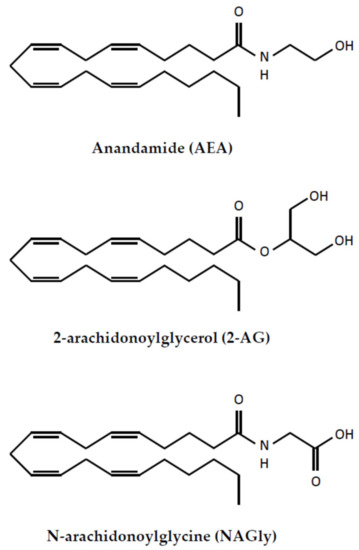 Receptor-Dependent and Independent Regulation of Voltage