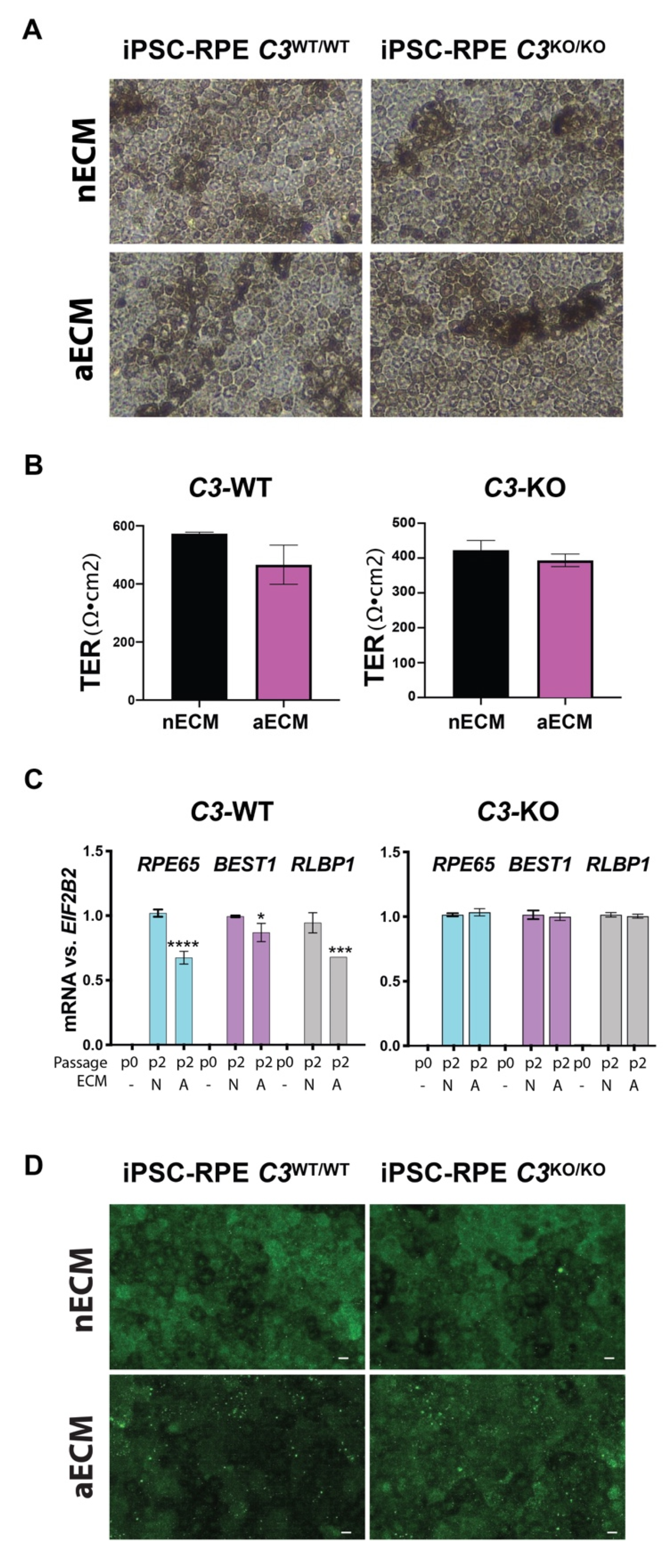 Ijms 22 08183 g003 550