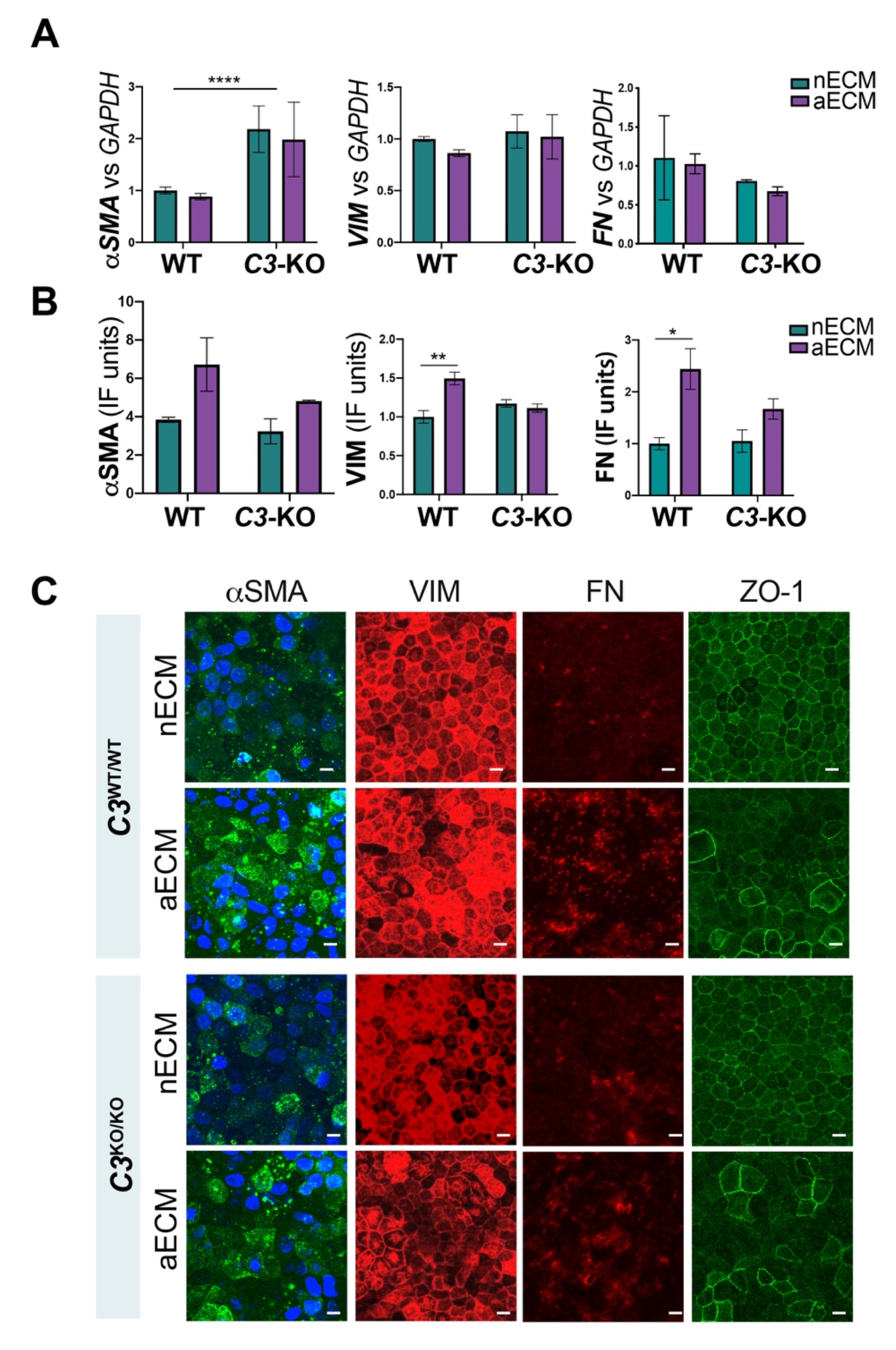 Ijms 22 08183 g004 550