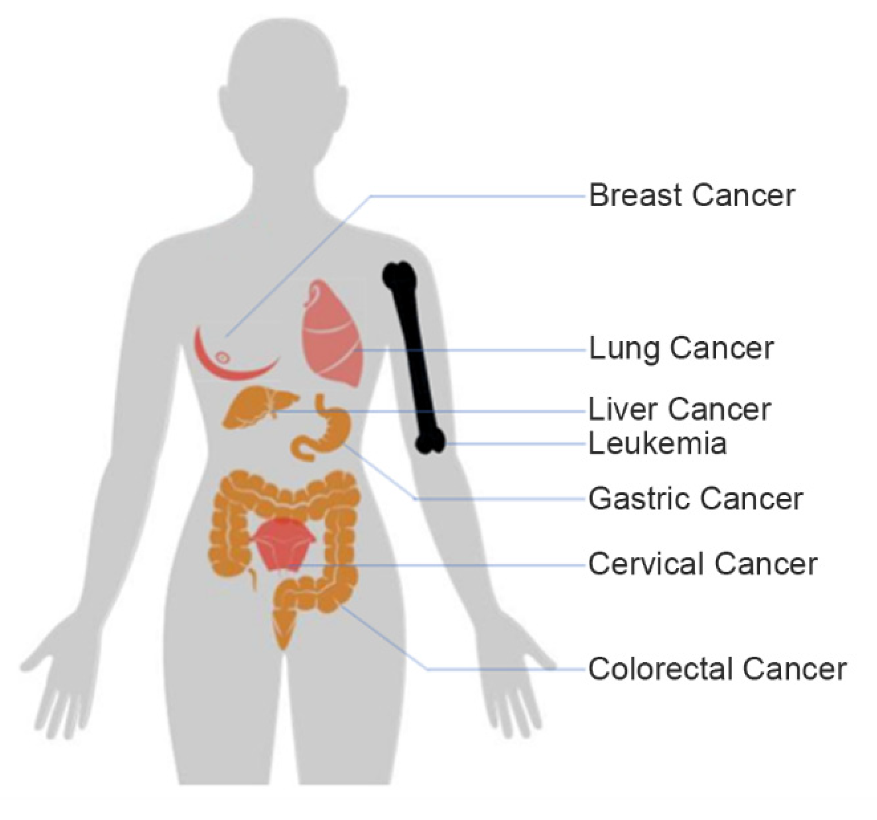 Ijms 22 08184 g001 Ijms 22 08184 g001