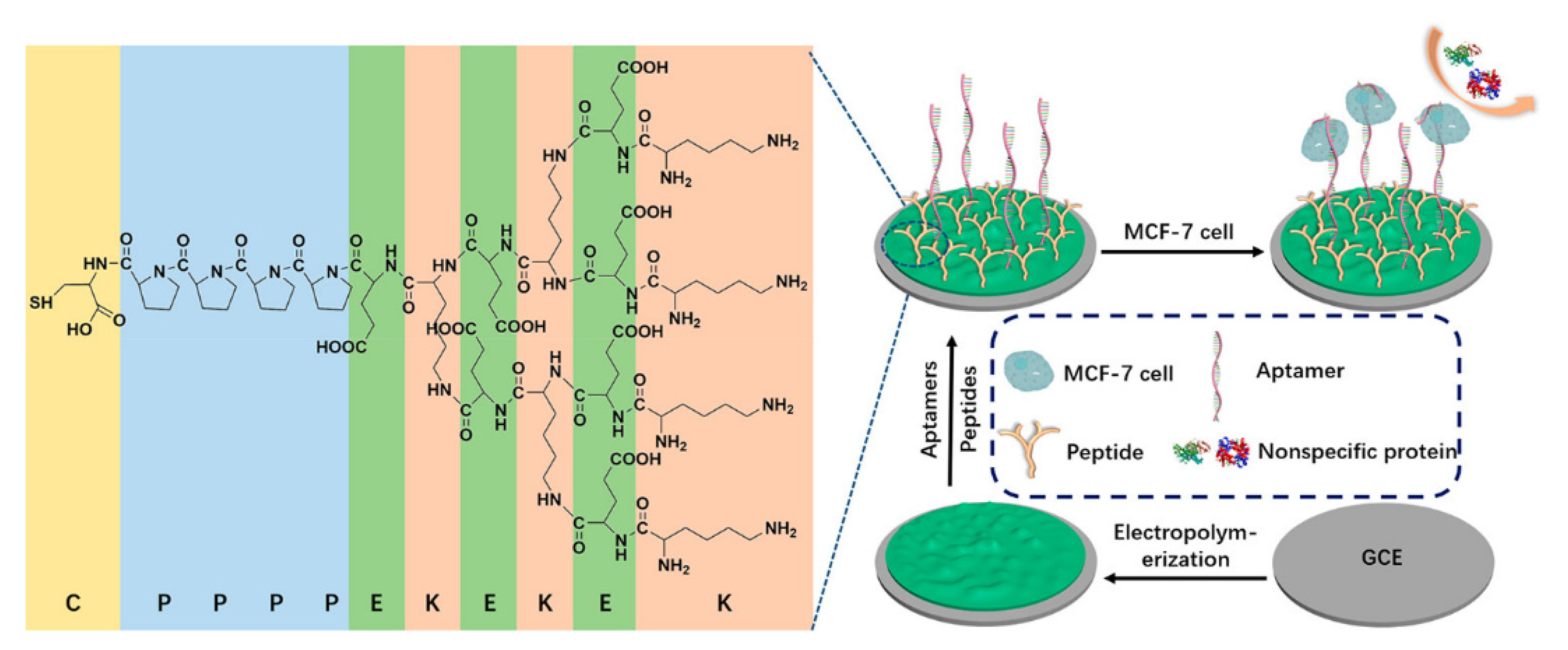Ijms 22 08184 g003 Ijms 22 08184 g003