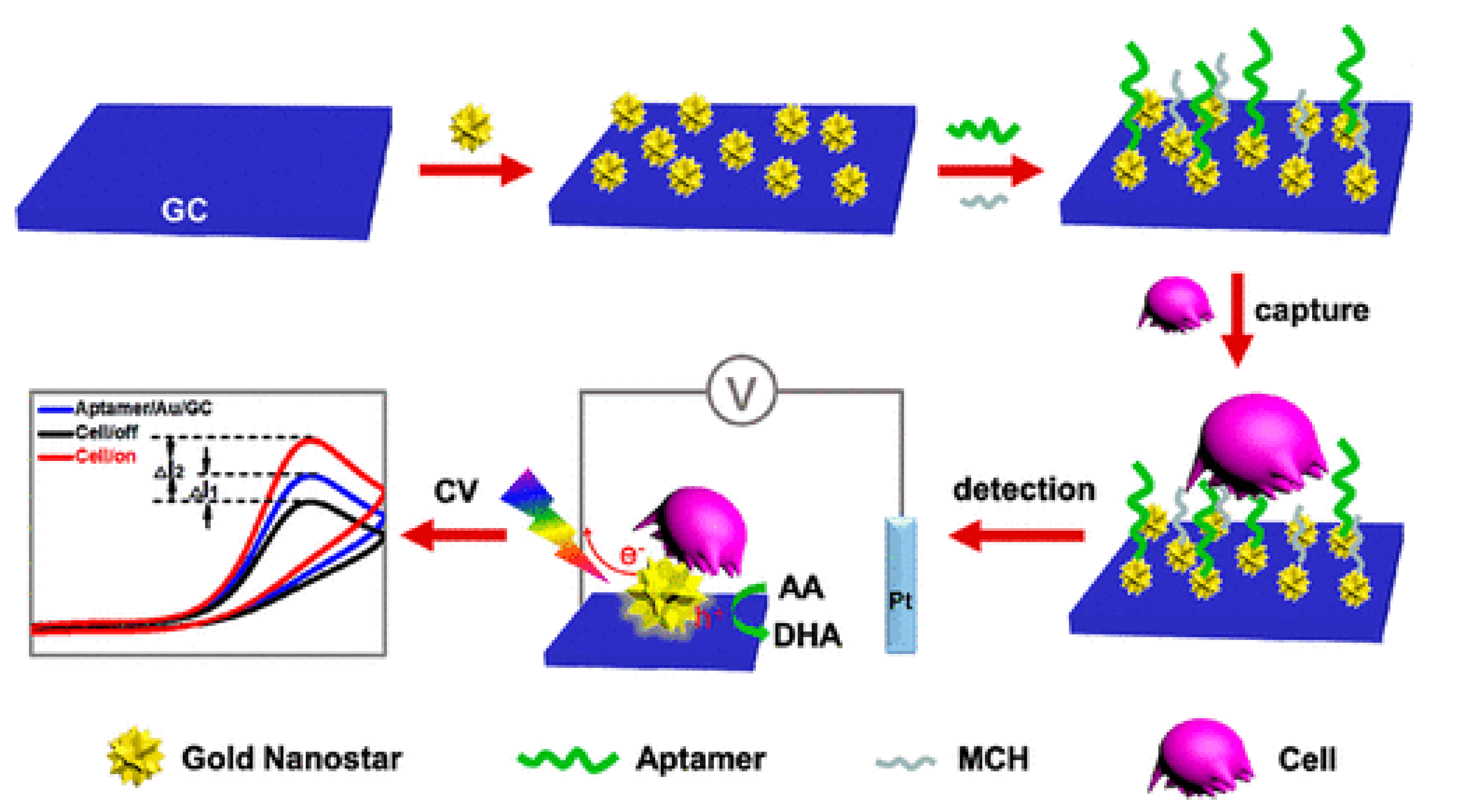 Ijms 22 08184 g006 Ijms 22 08184 g006