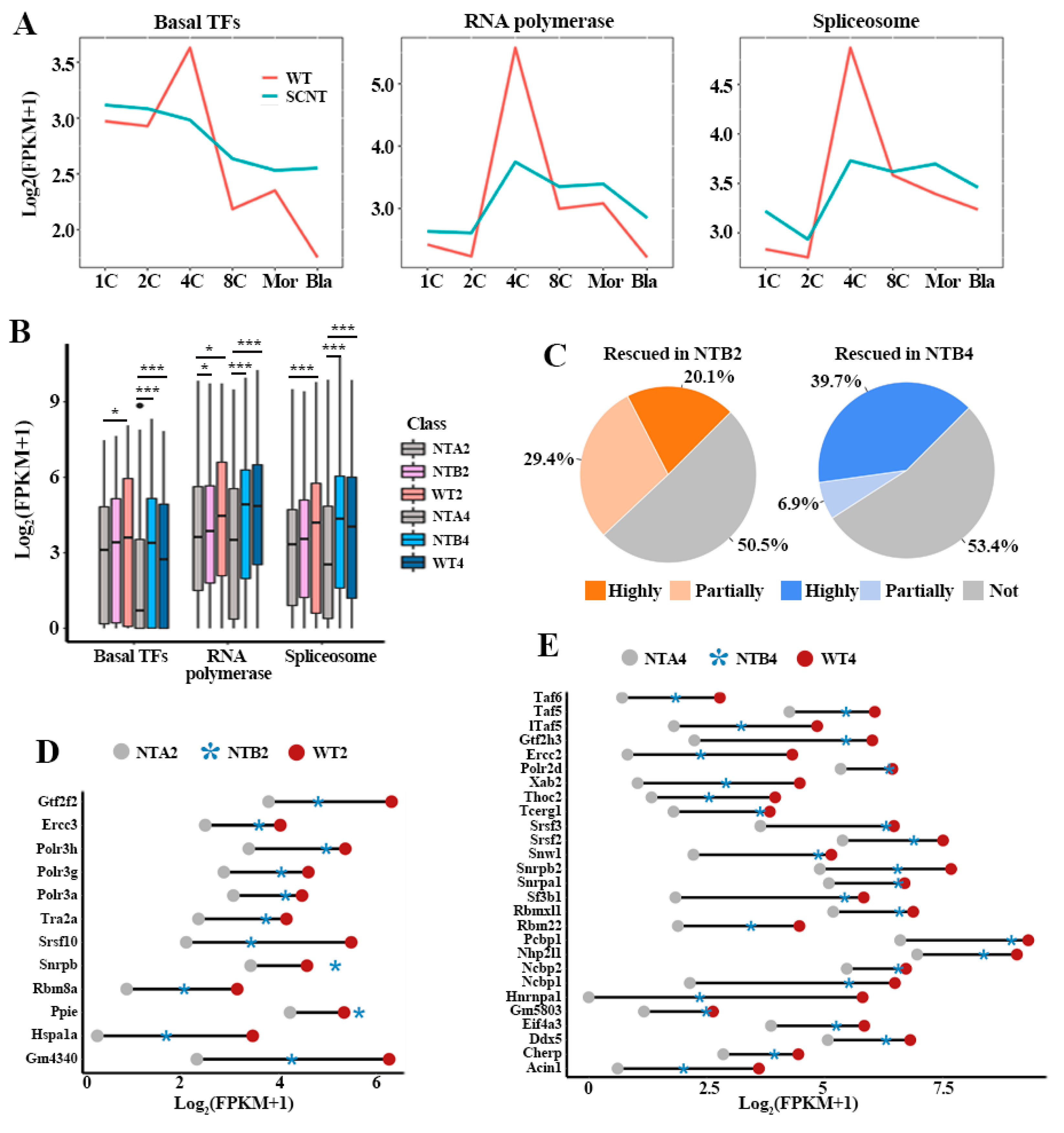 Ijms 22 08187 g001 550