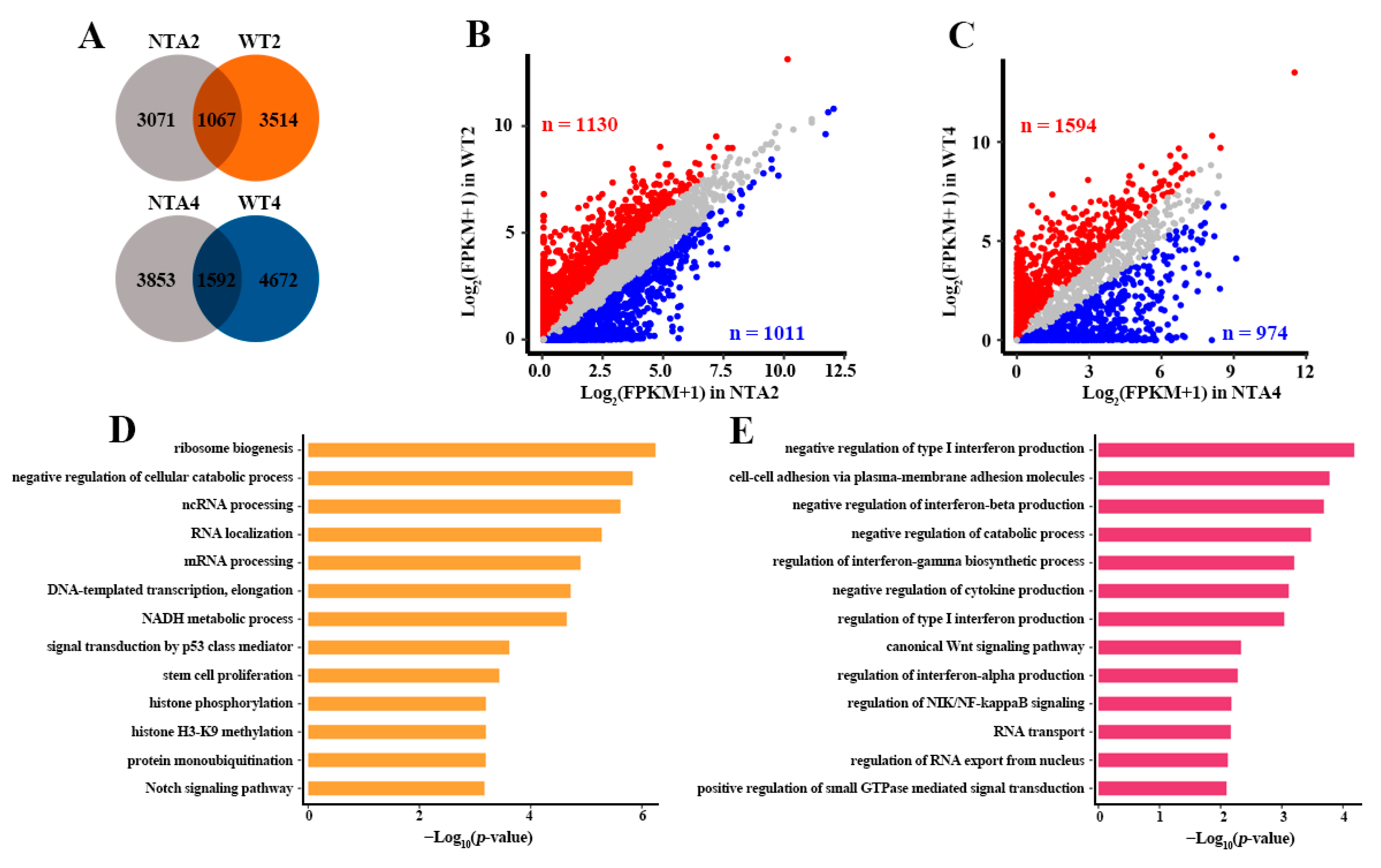 Ijms 22 08187 g002 550