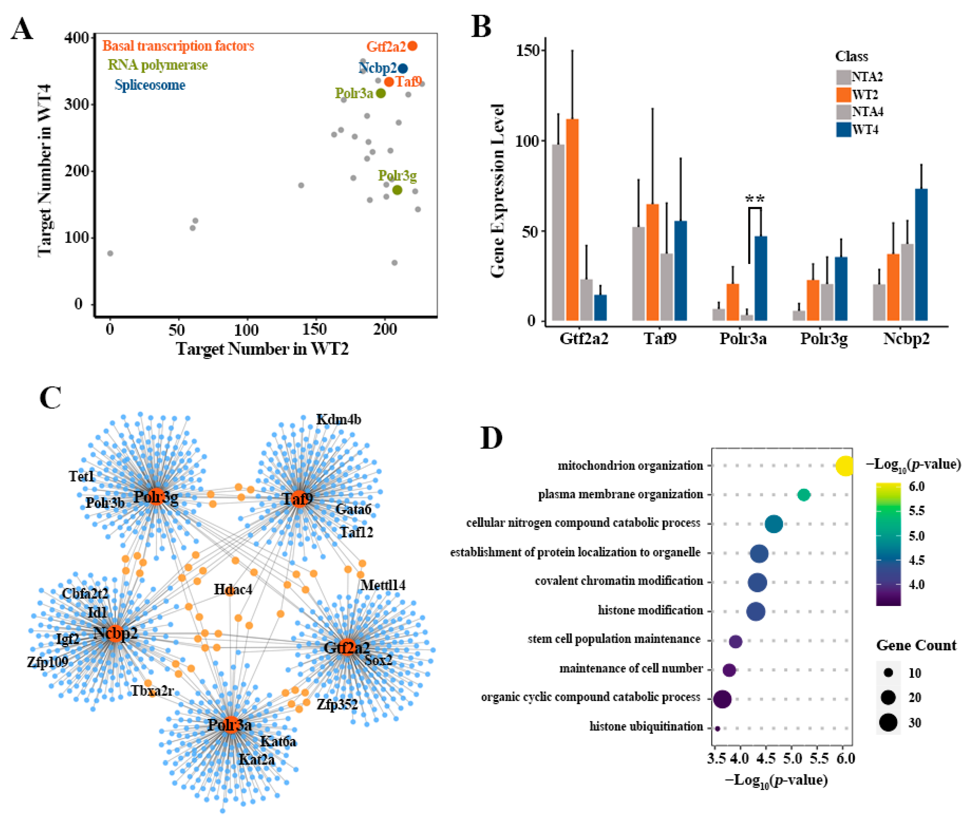 Ijms 22 08187 g003 550