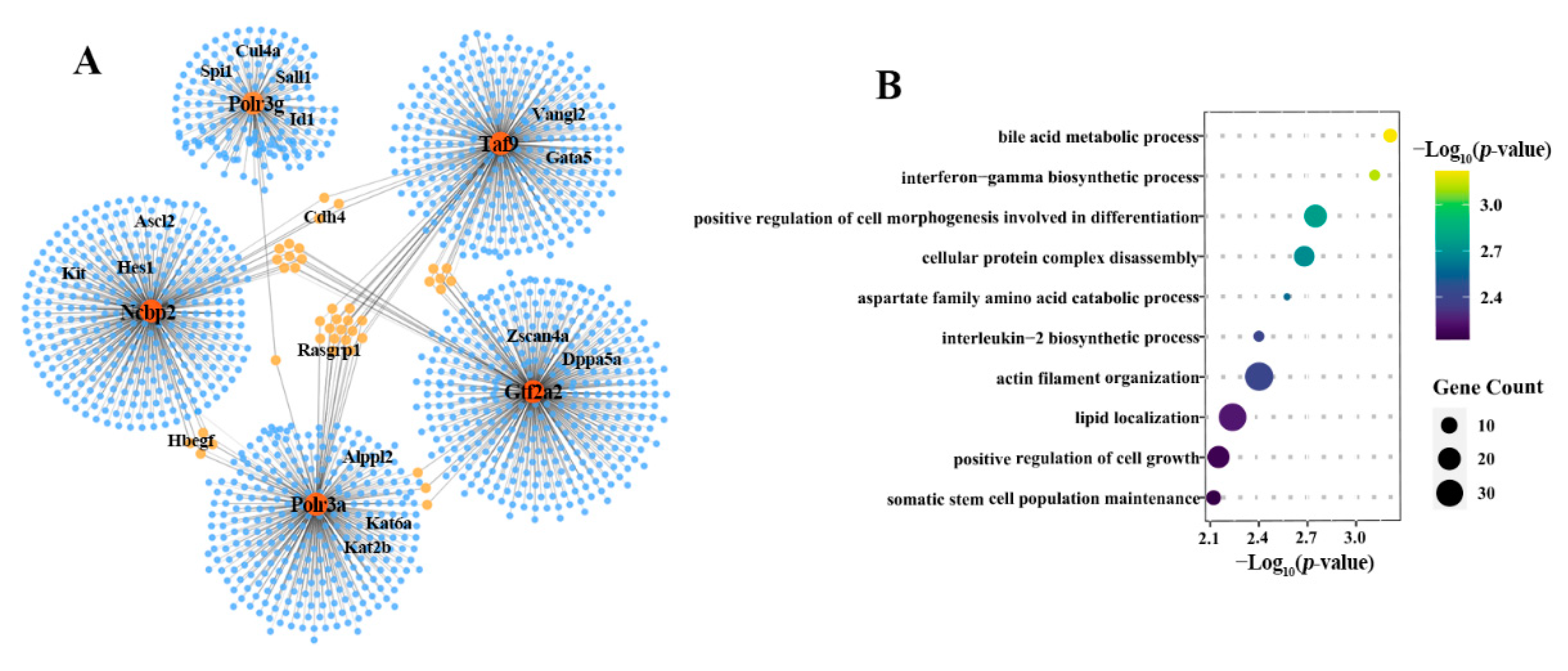 Ijms 22 08187 g004 550