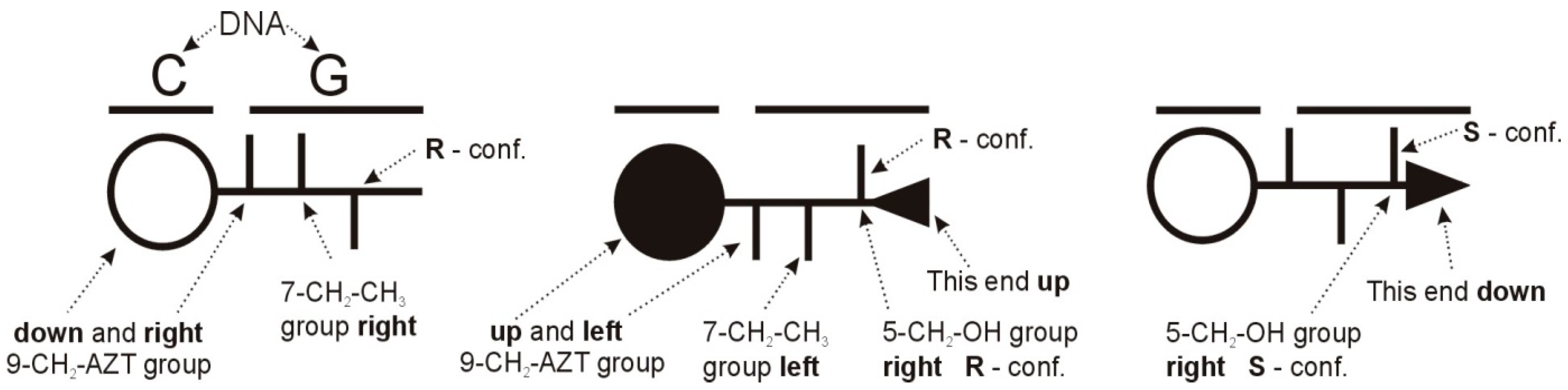 Ijms 22 08190 g007 Ijms 22 08190 g007