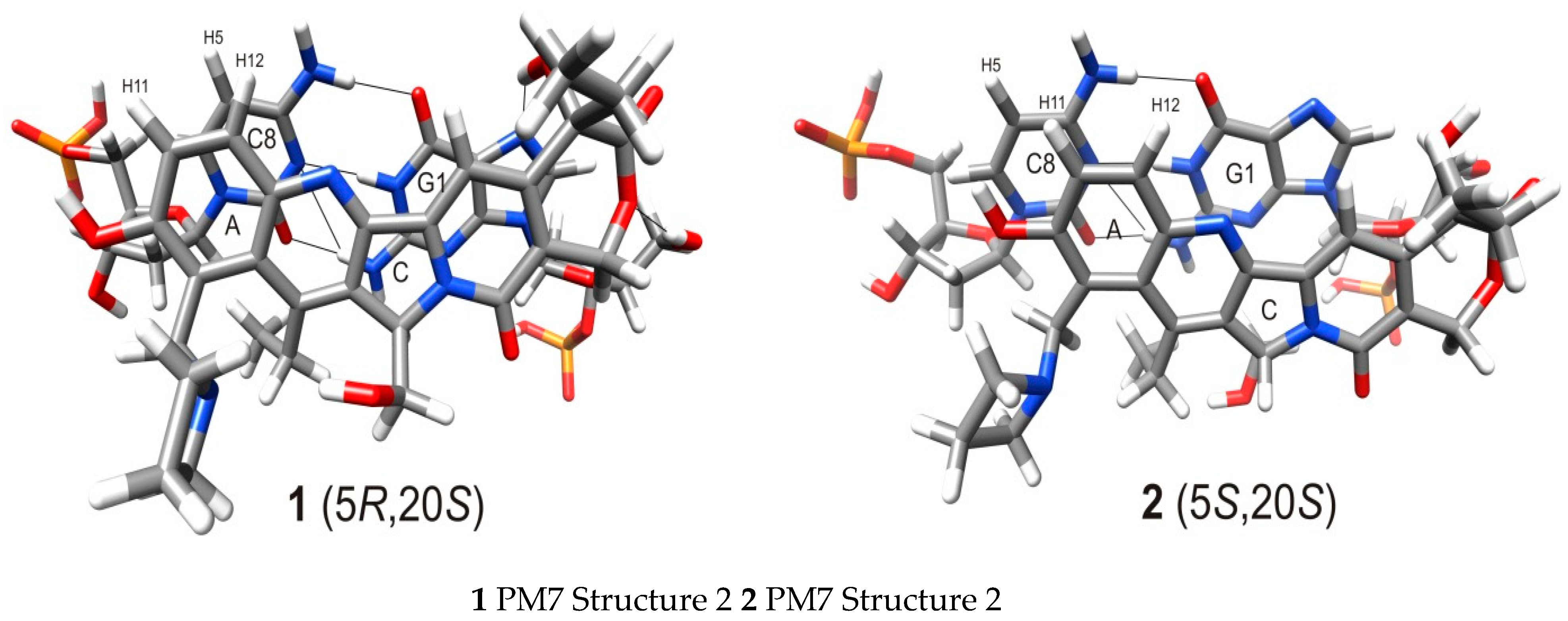 Ijms 22 08190 g009 Ijms 22 08190 g009