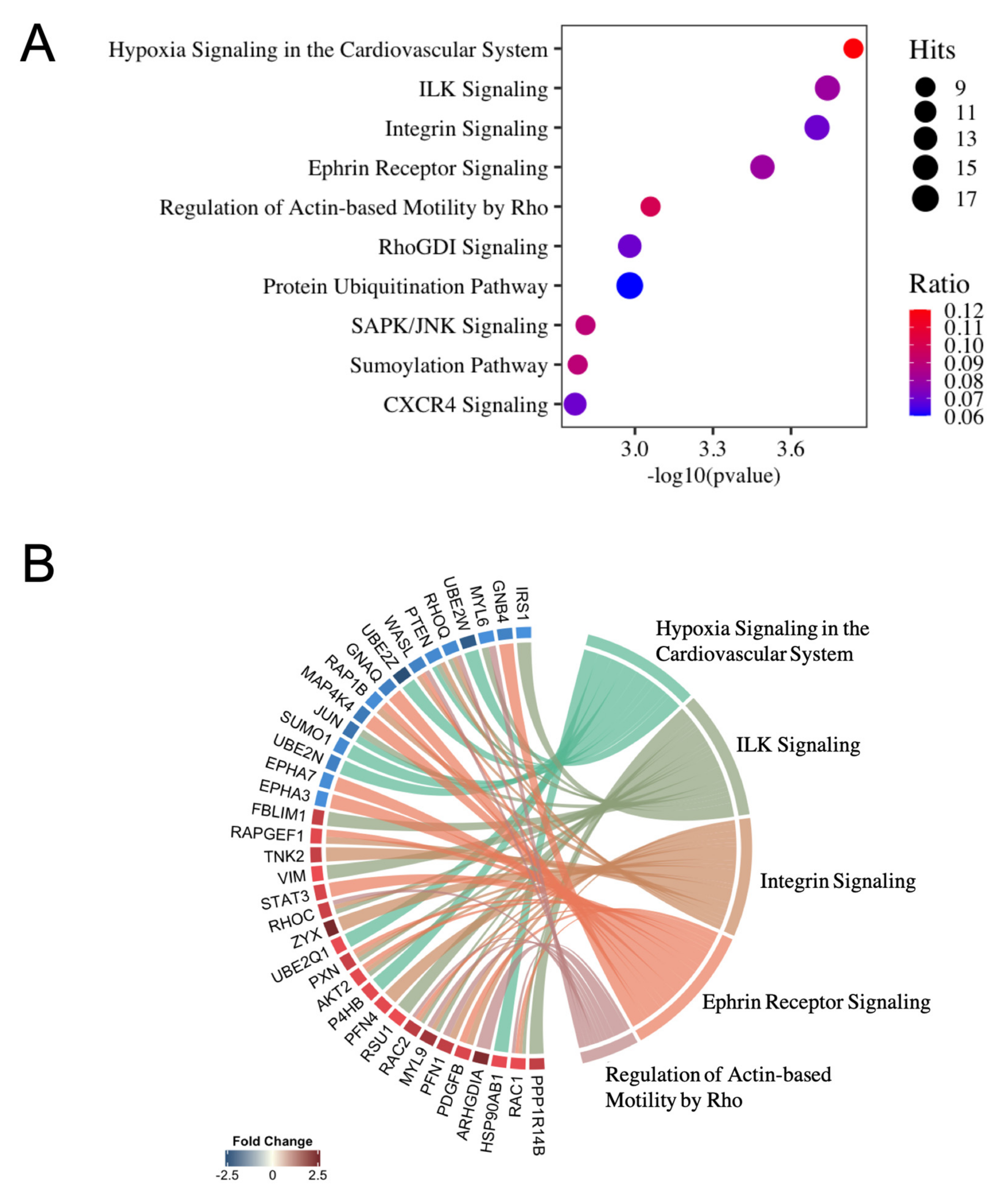 Ijms 22 08193 g003 550