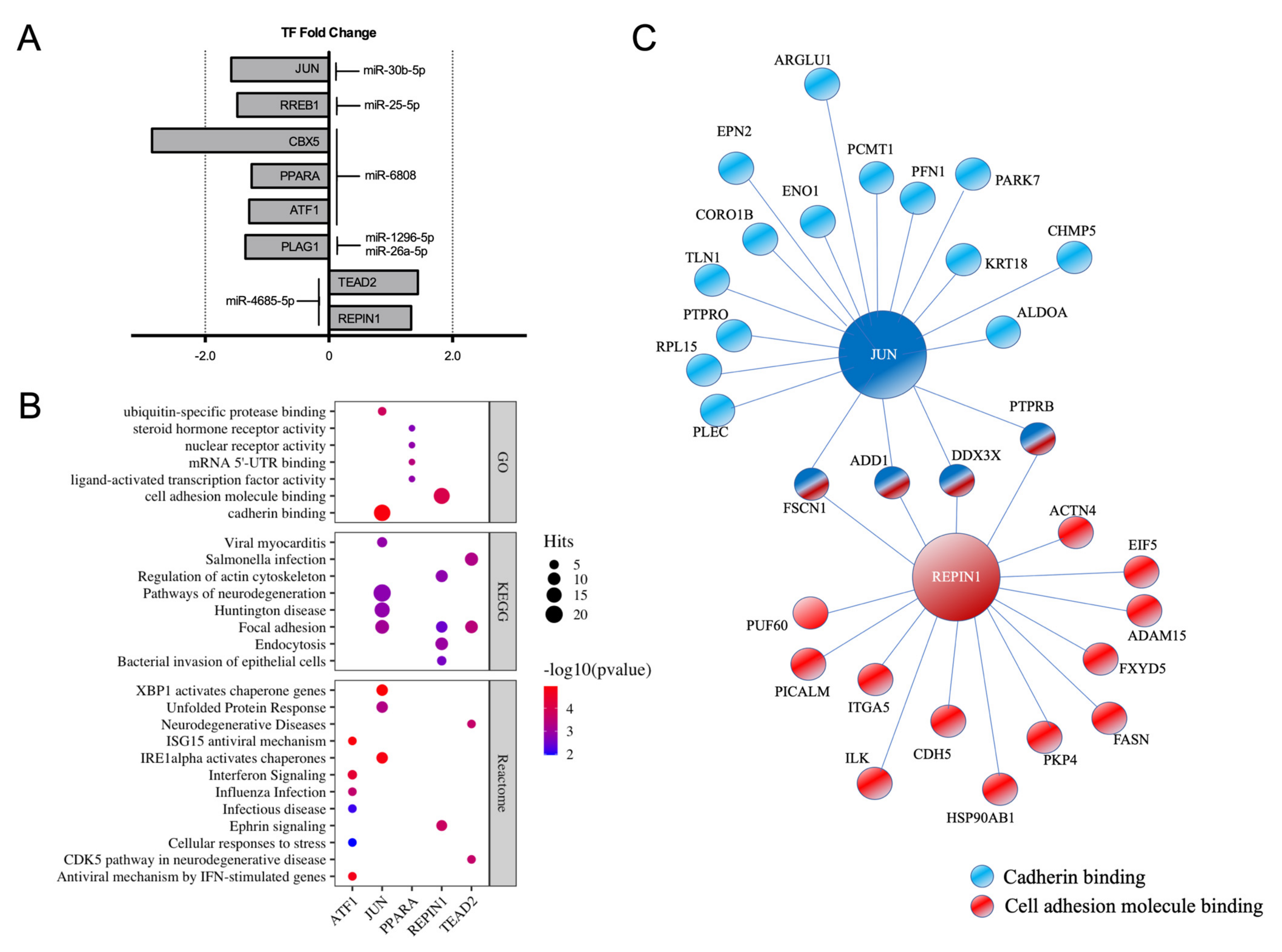 Ijms 22 08193 g004 550
