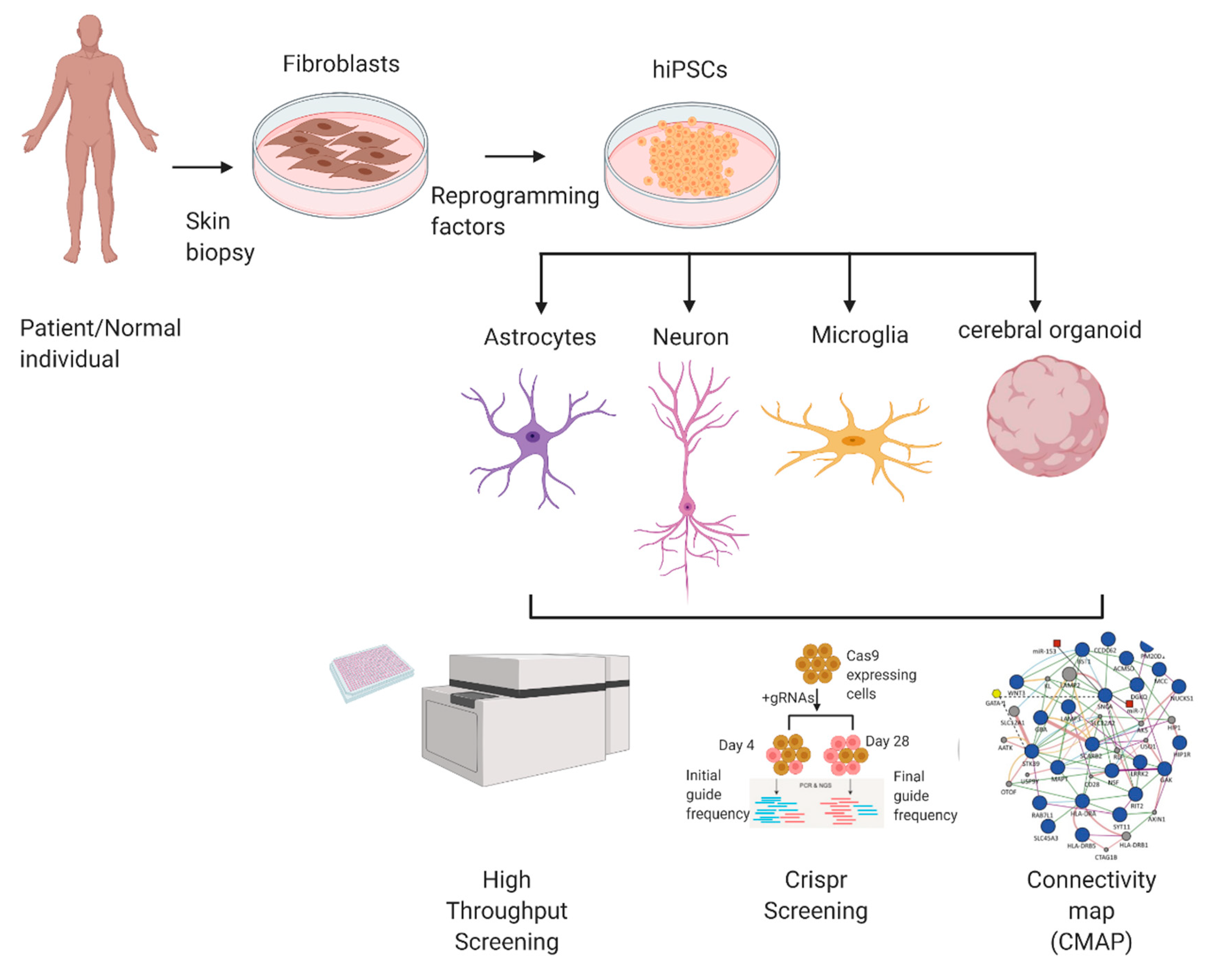 Discover Clinical Trial Outcomes Now Available on Synapse!