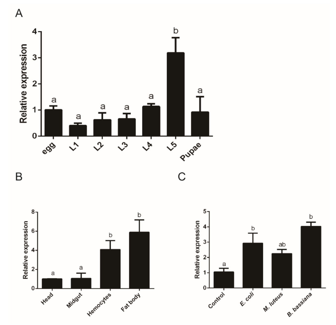 Ijms 22 08198 g002 550