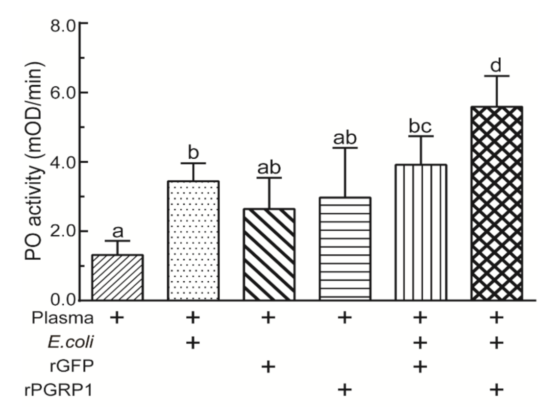 Ijms 22 08198 g006 550