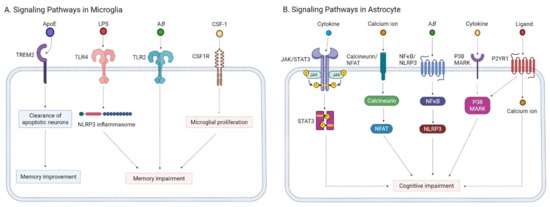 Recent Development in the Understanding of Molecular and
