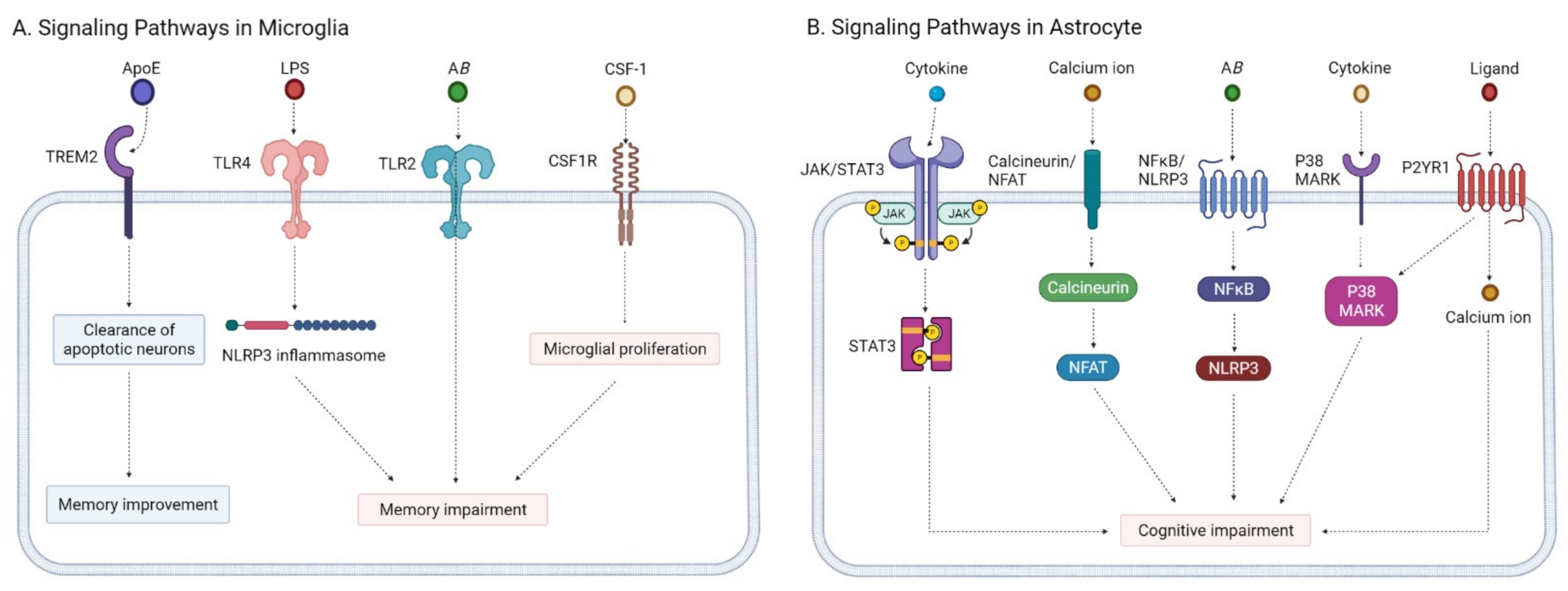 Ijms 22 08208 g001 550